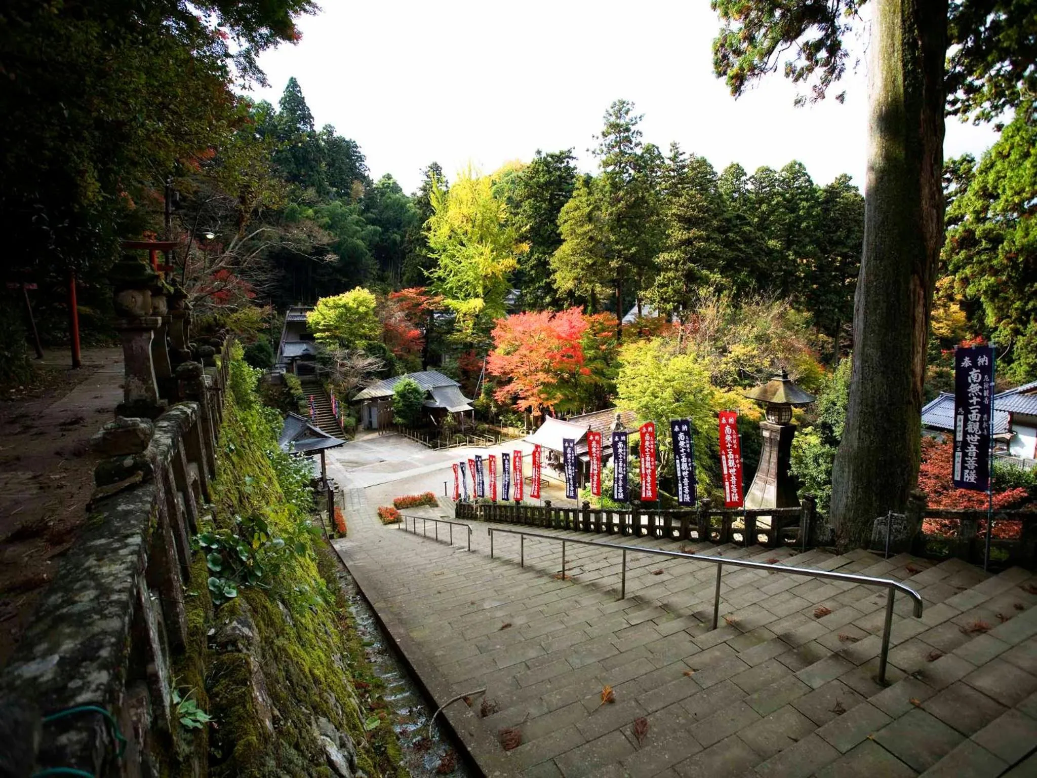 Off site in Shokinkan