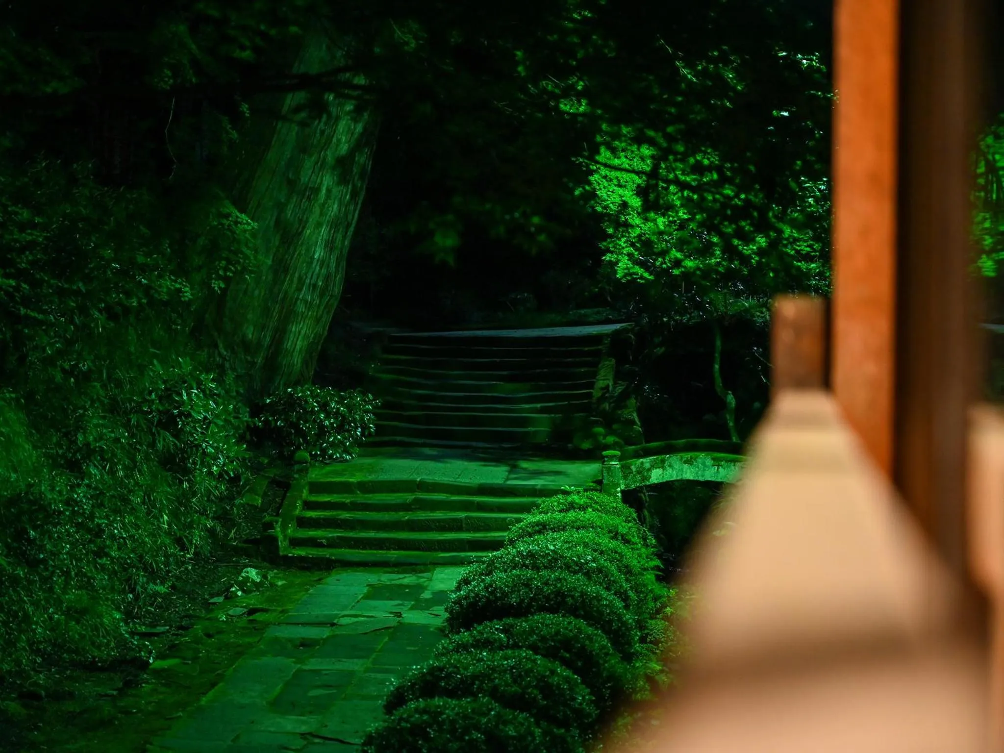 View (from property/room) in Shokinkan