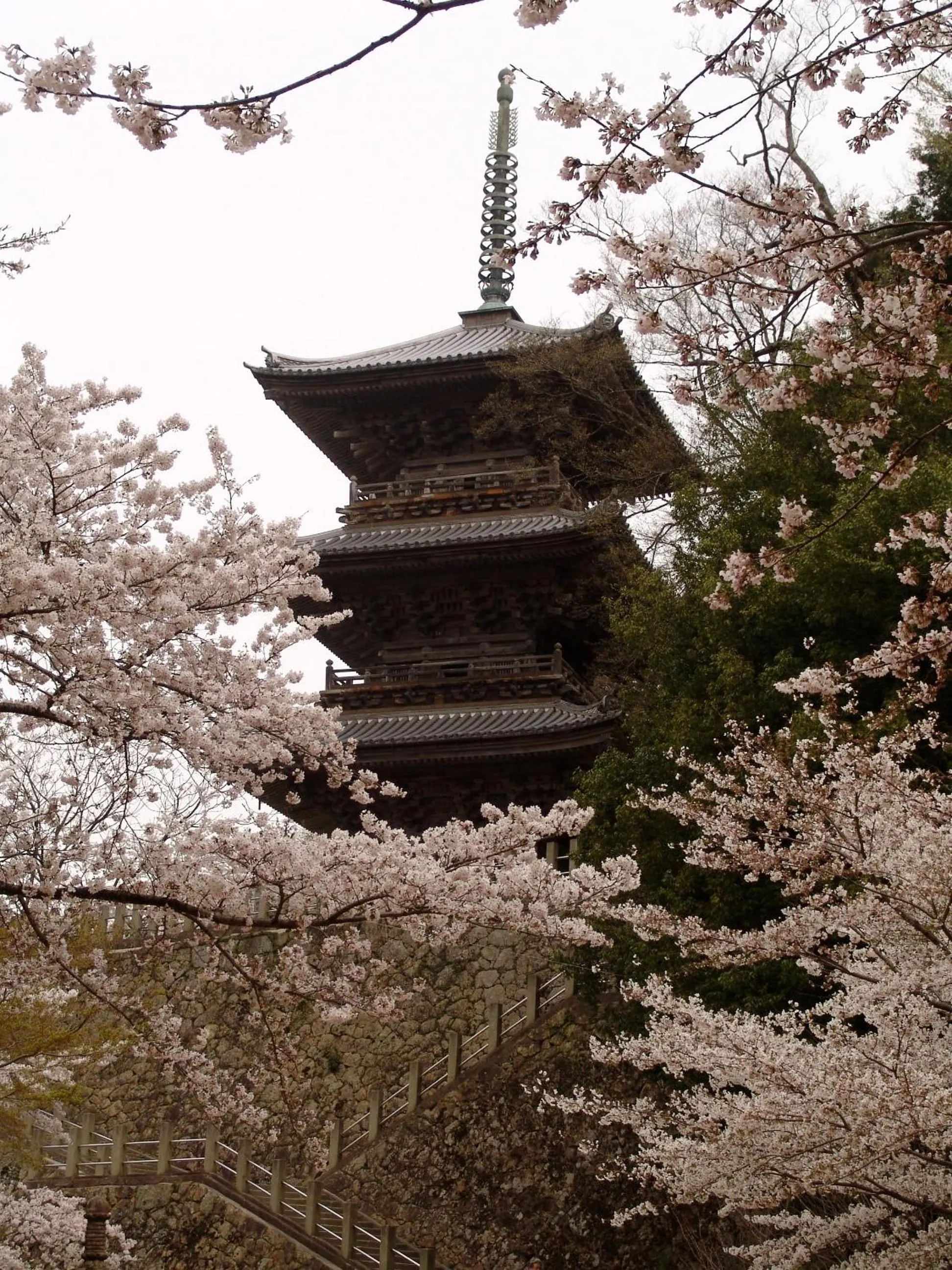 Nearby landmark in Shokinkan