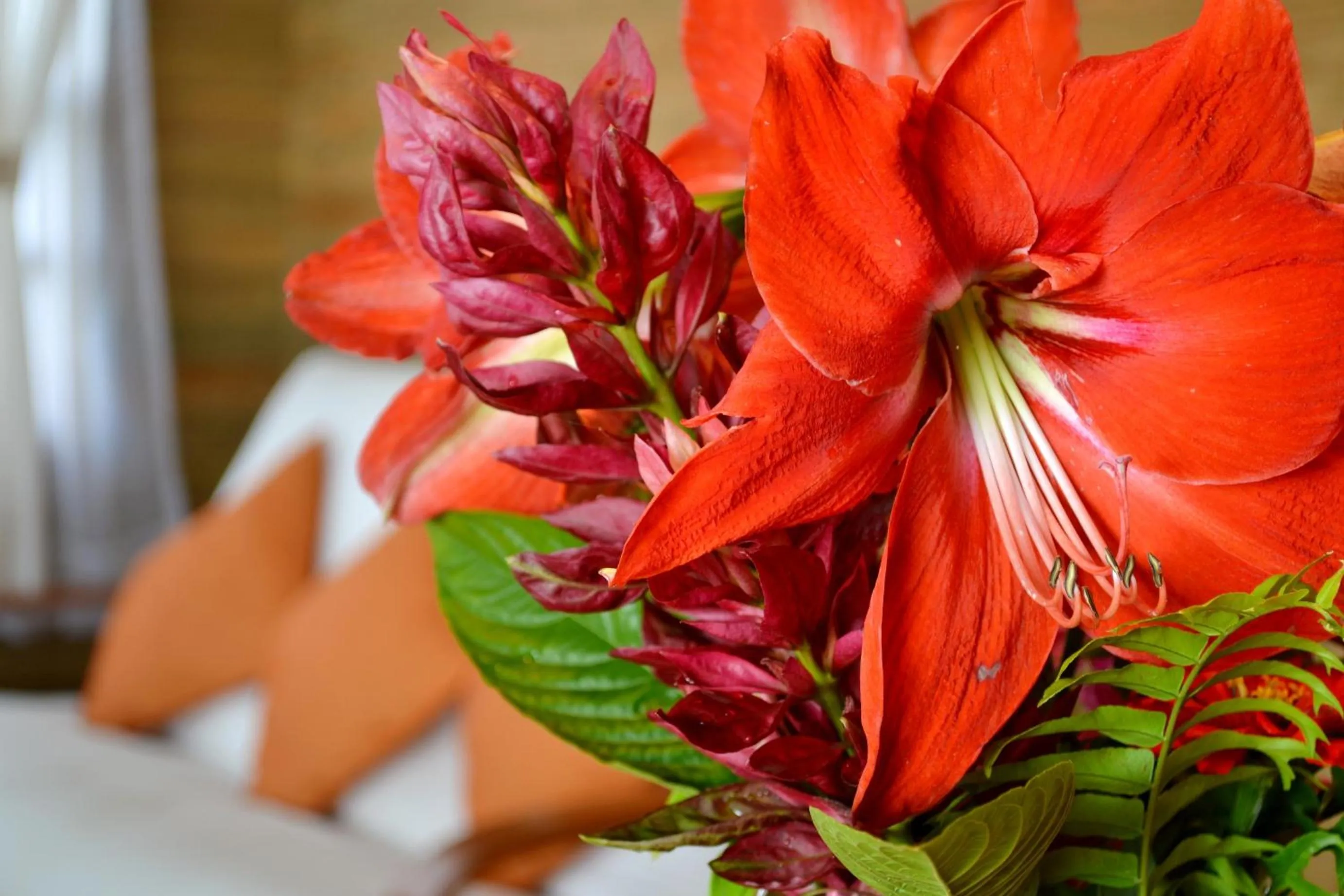 Bed in Finca Hamburgo La Ruta del Cafe