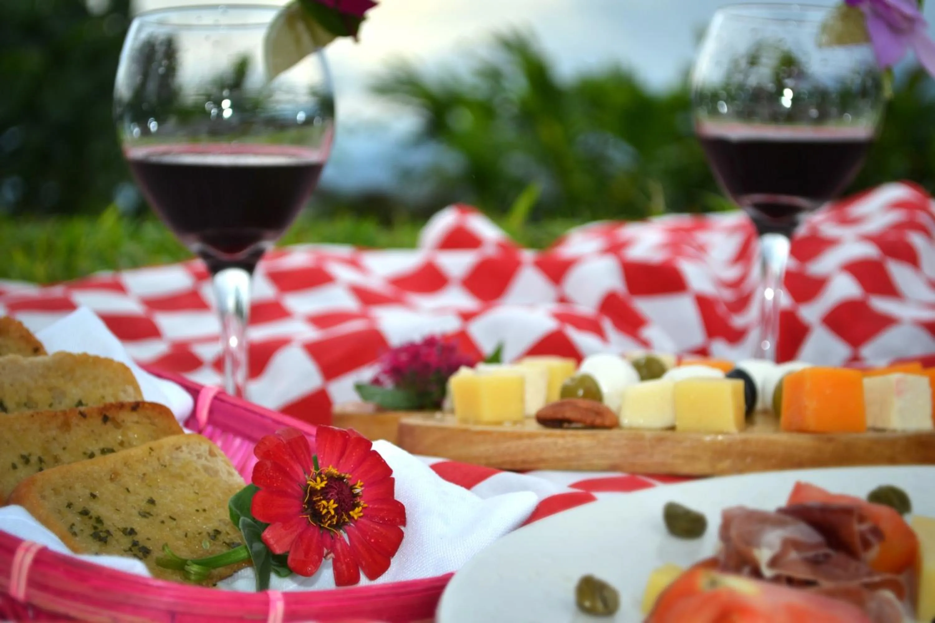 Finca Hamburgo La Ruta del Cafe