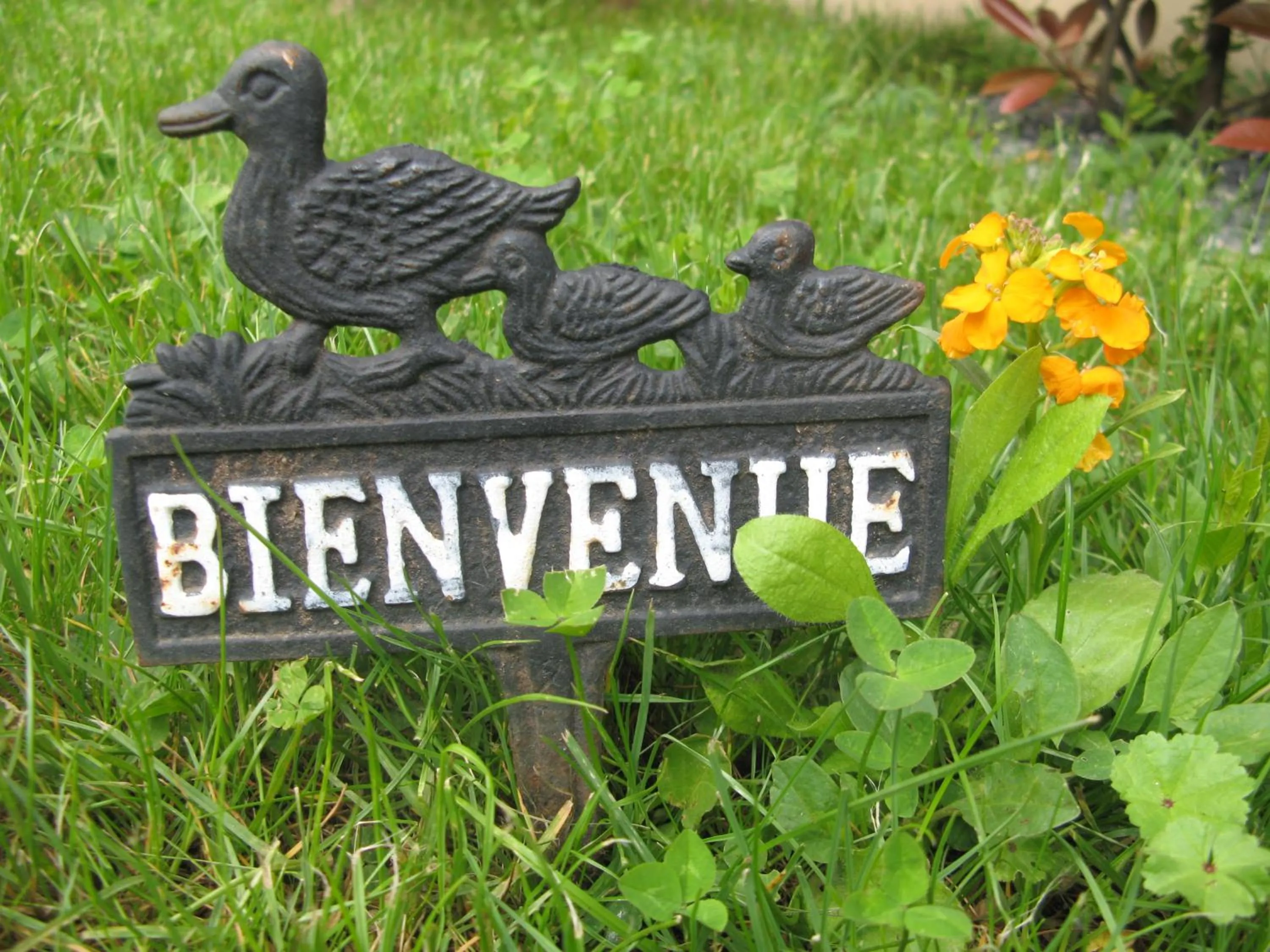 Property logo or sign in Les Chambres de l'Ile