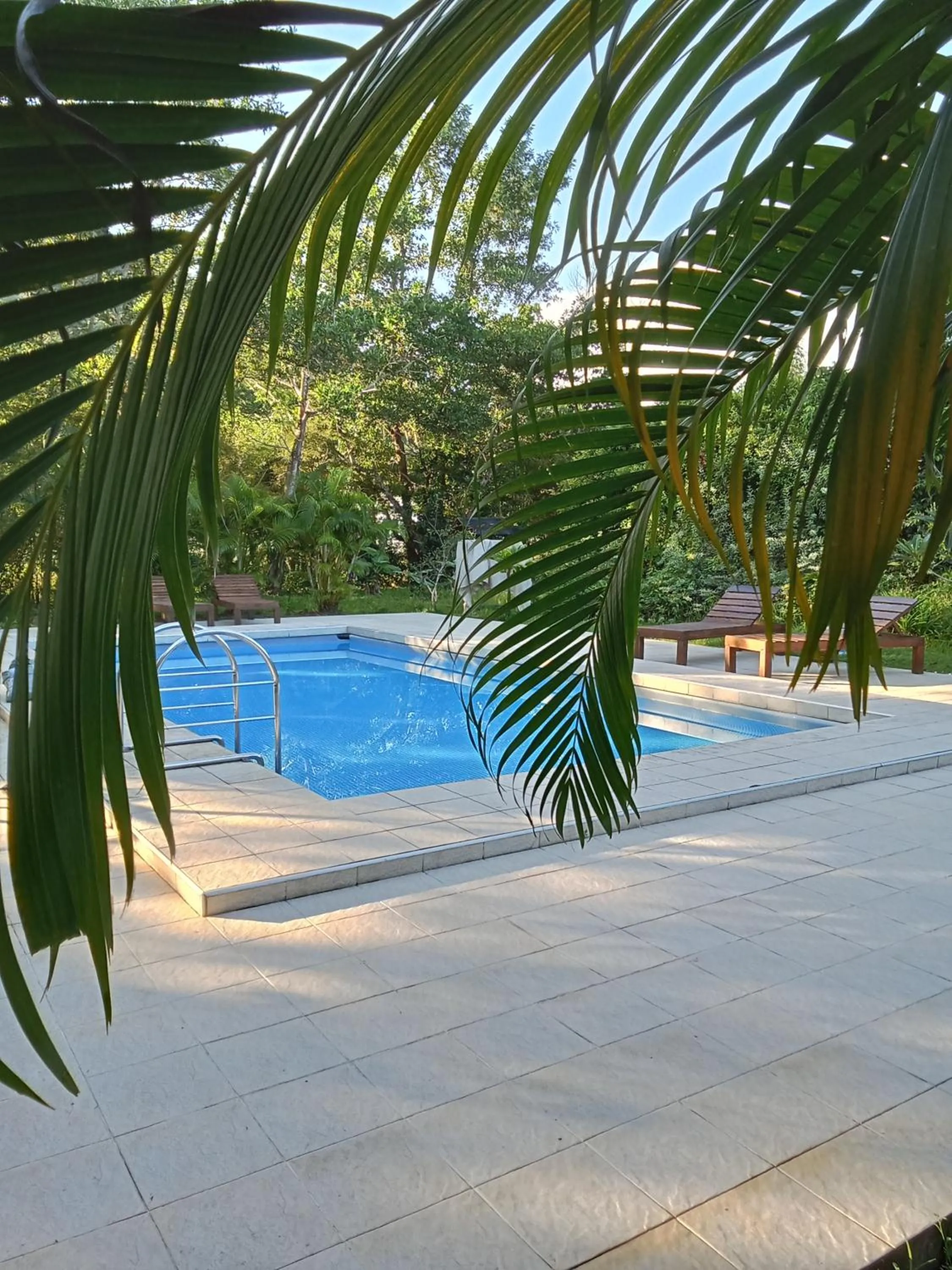 Swimming pool in Jungle View Resort