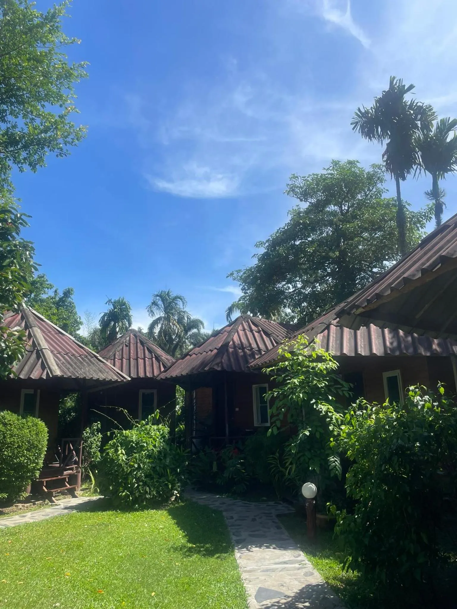 Garden view in Jungle View Resort