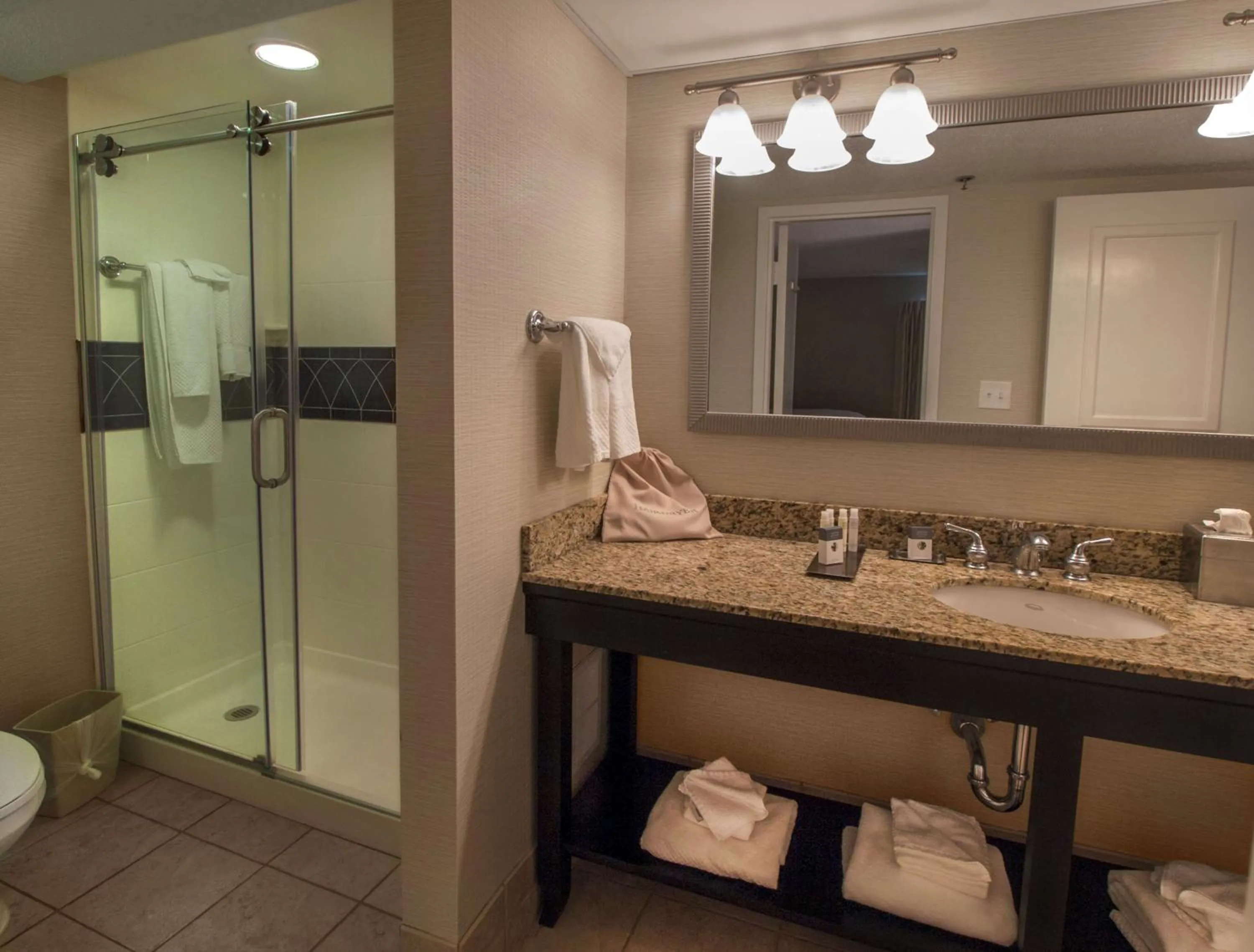 Bathroom in DoubleTree by Hilton Buffalo-Amherst