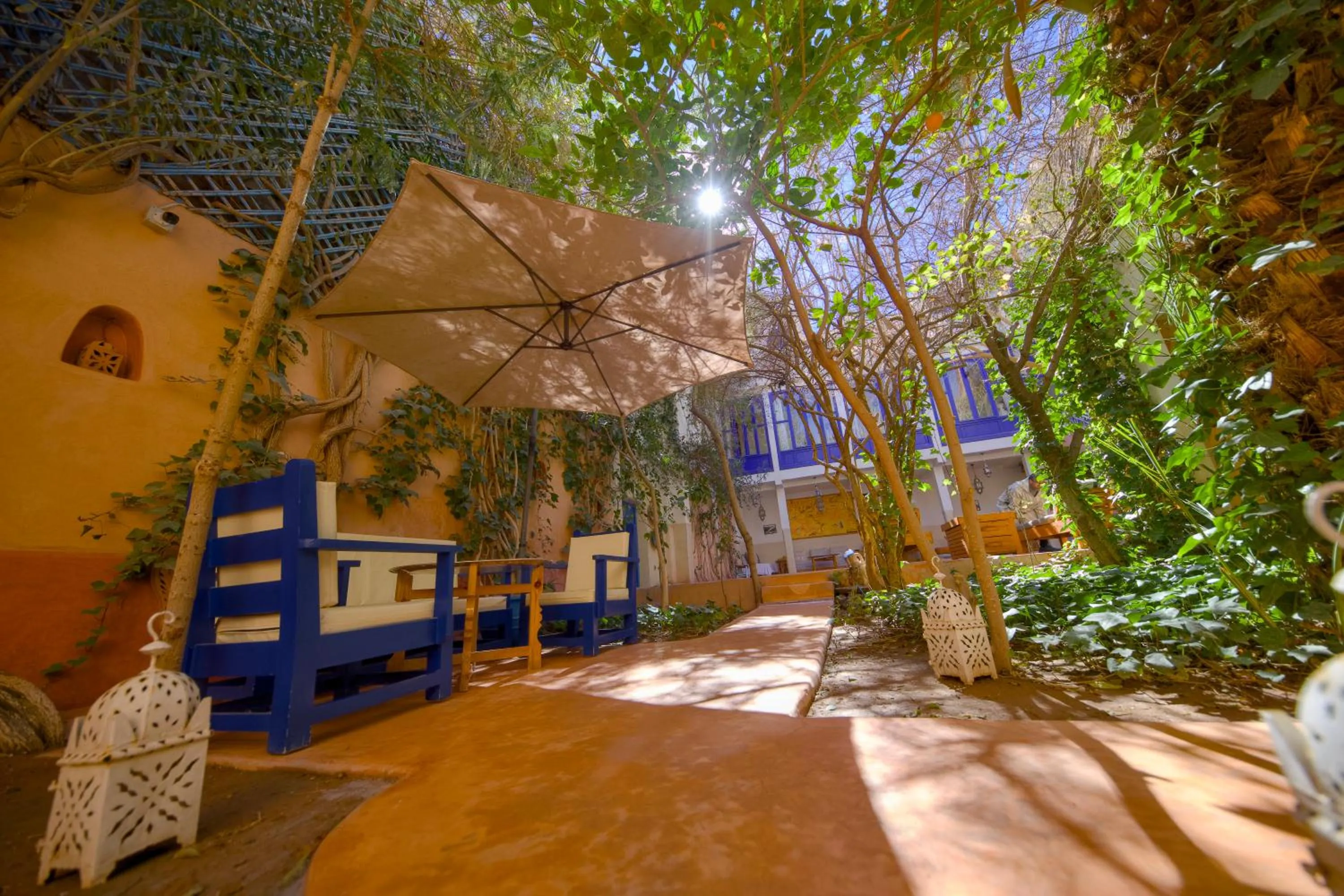 Garden in Maison d'hôtes Dar Farhana