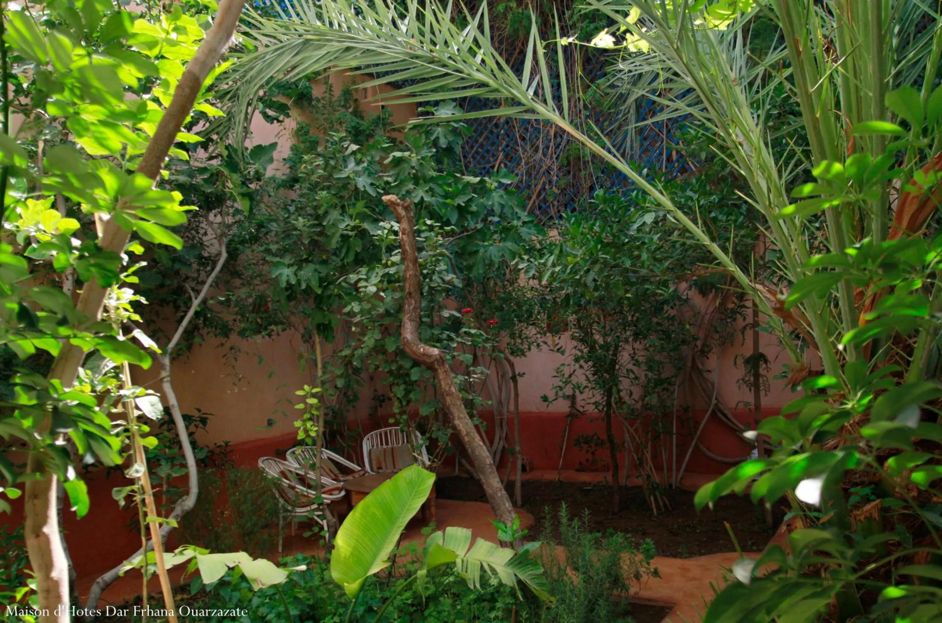 Garden view in Maison d'hôtes Dar Farhana