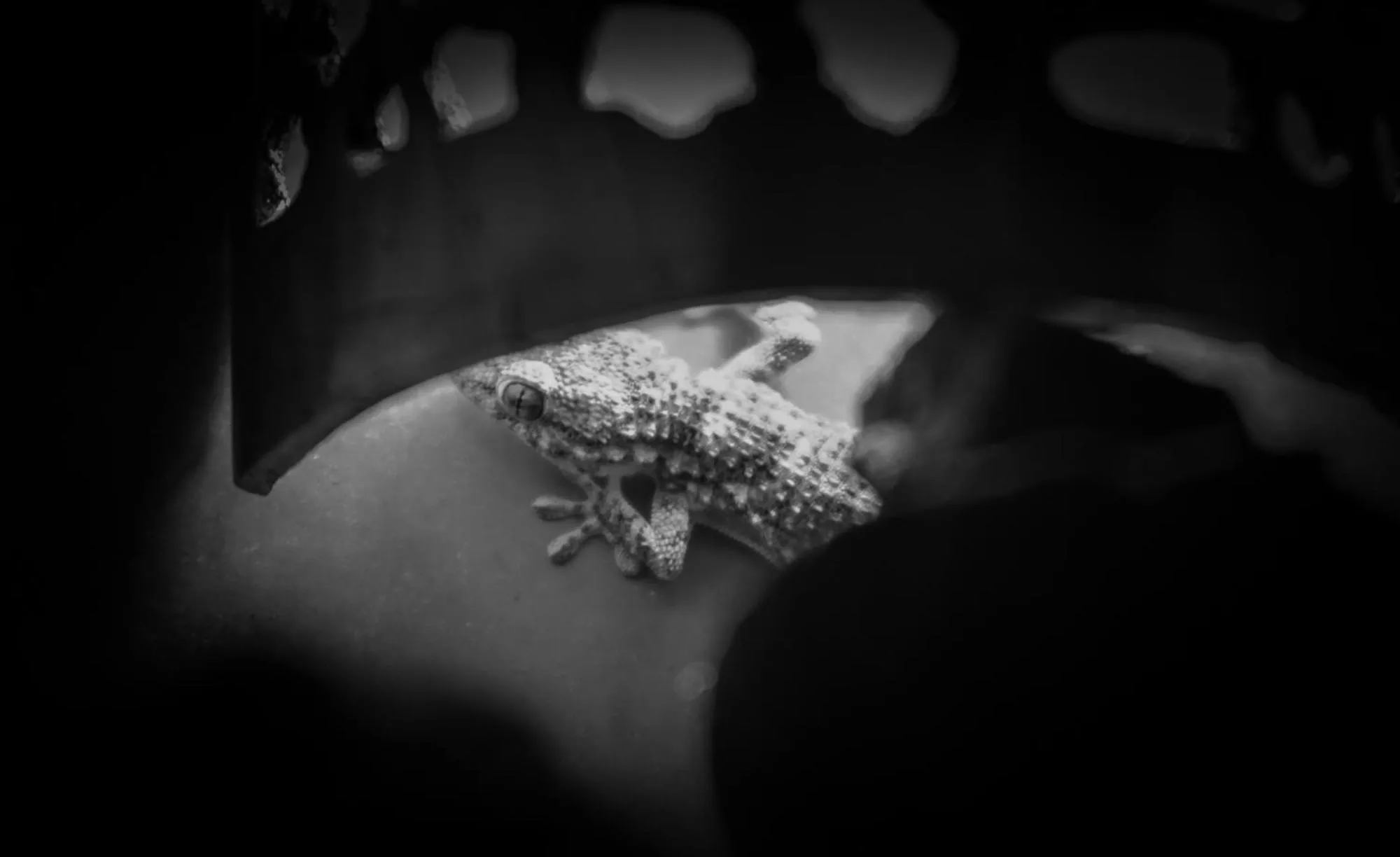 Maison d'hôtes Dar Farhana