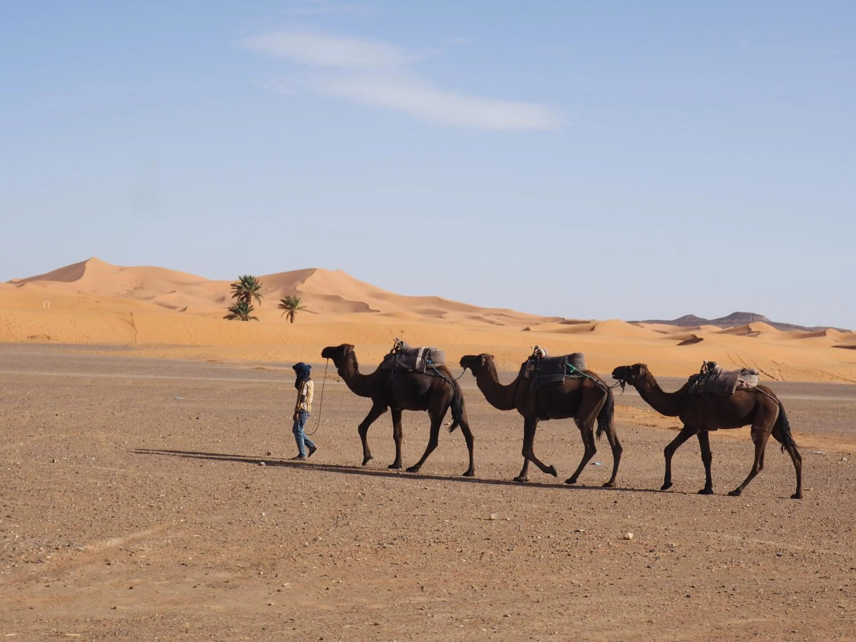Activities in Maison d'hôtes Dar Farhana
