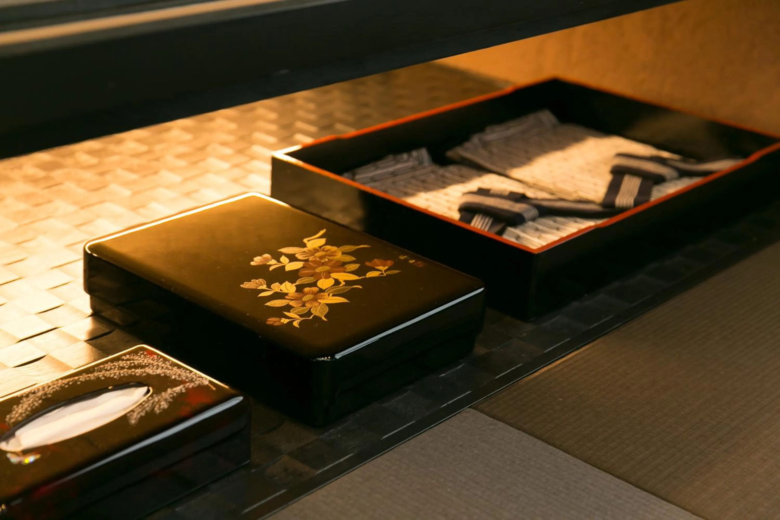 Other in Hosta Toji Sakura