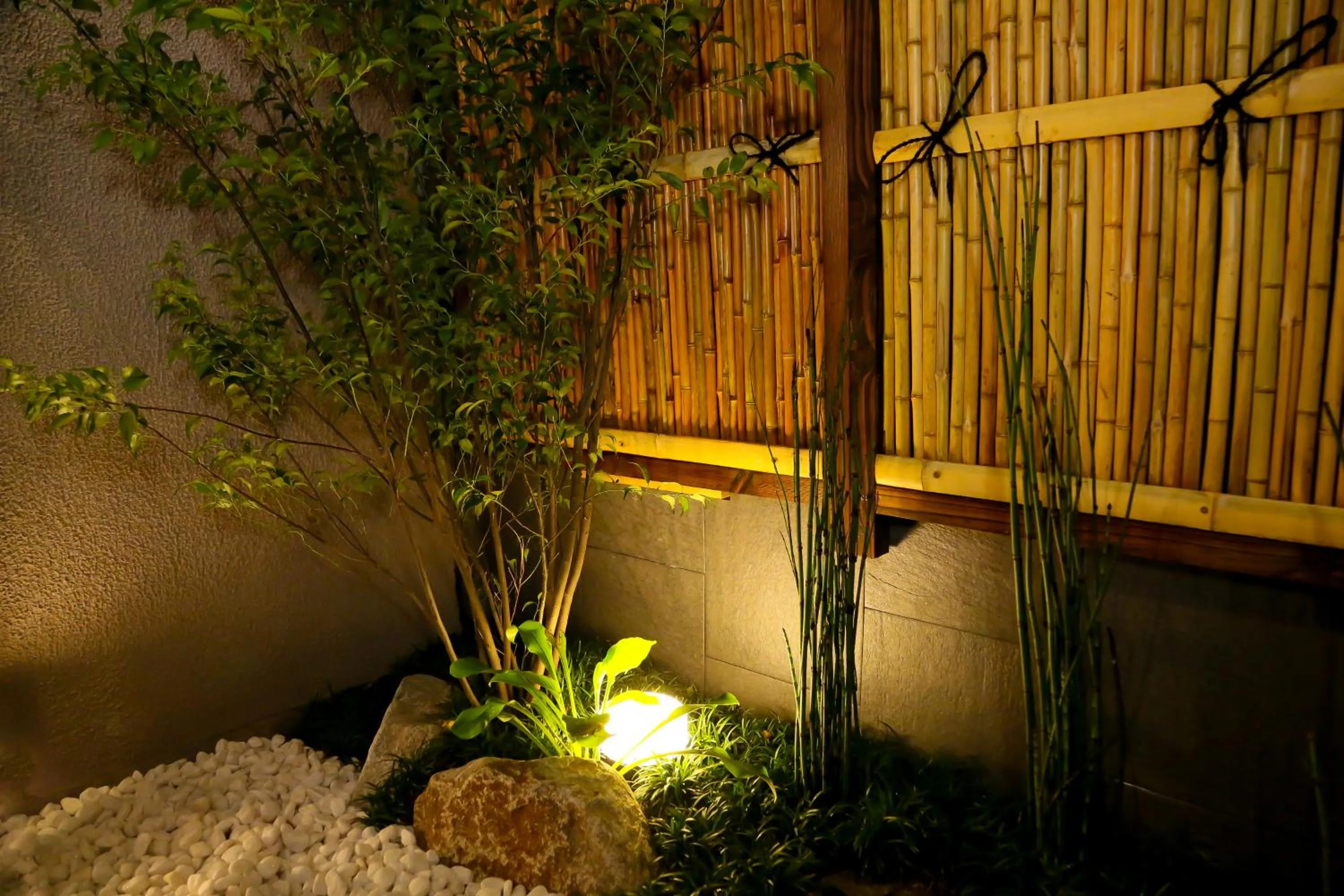 Garden in Hosta Toji Sakura