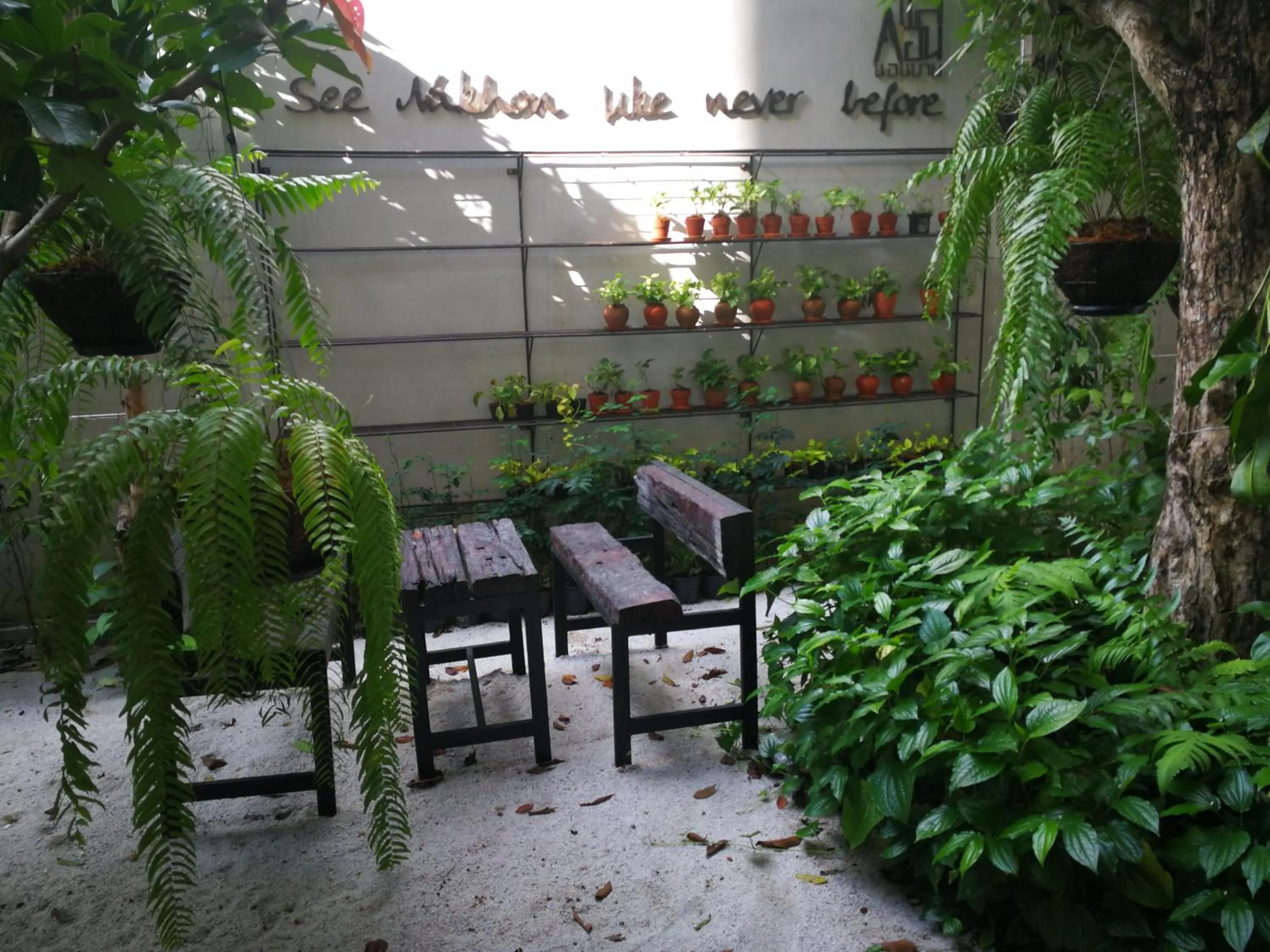 Natural landscape in Laekhon Nonbai