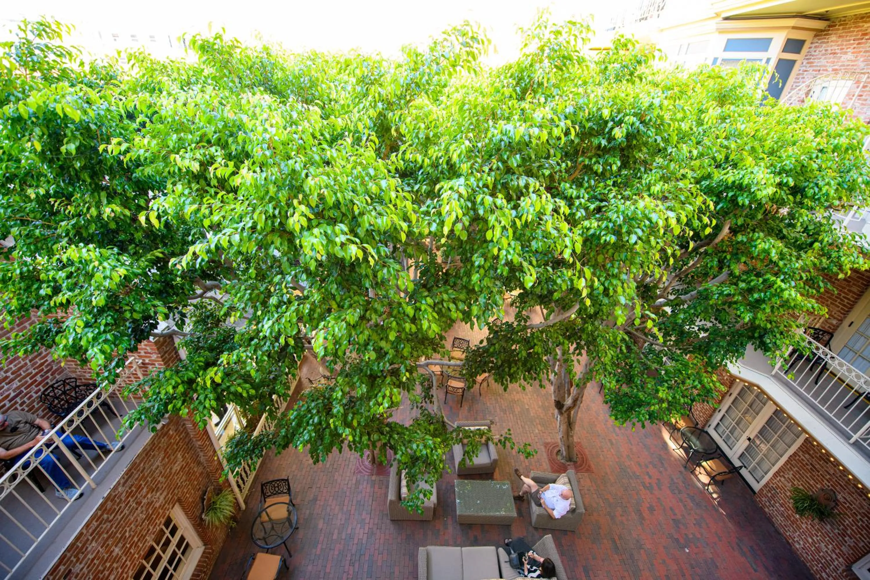 Inner courtyard view in Horton Grand Hotel