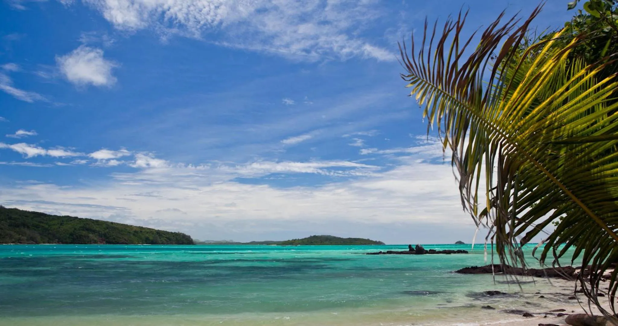 Beach in Navutu Stars Resort