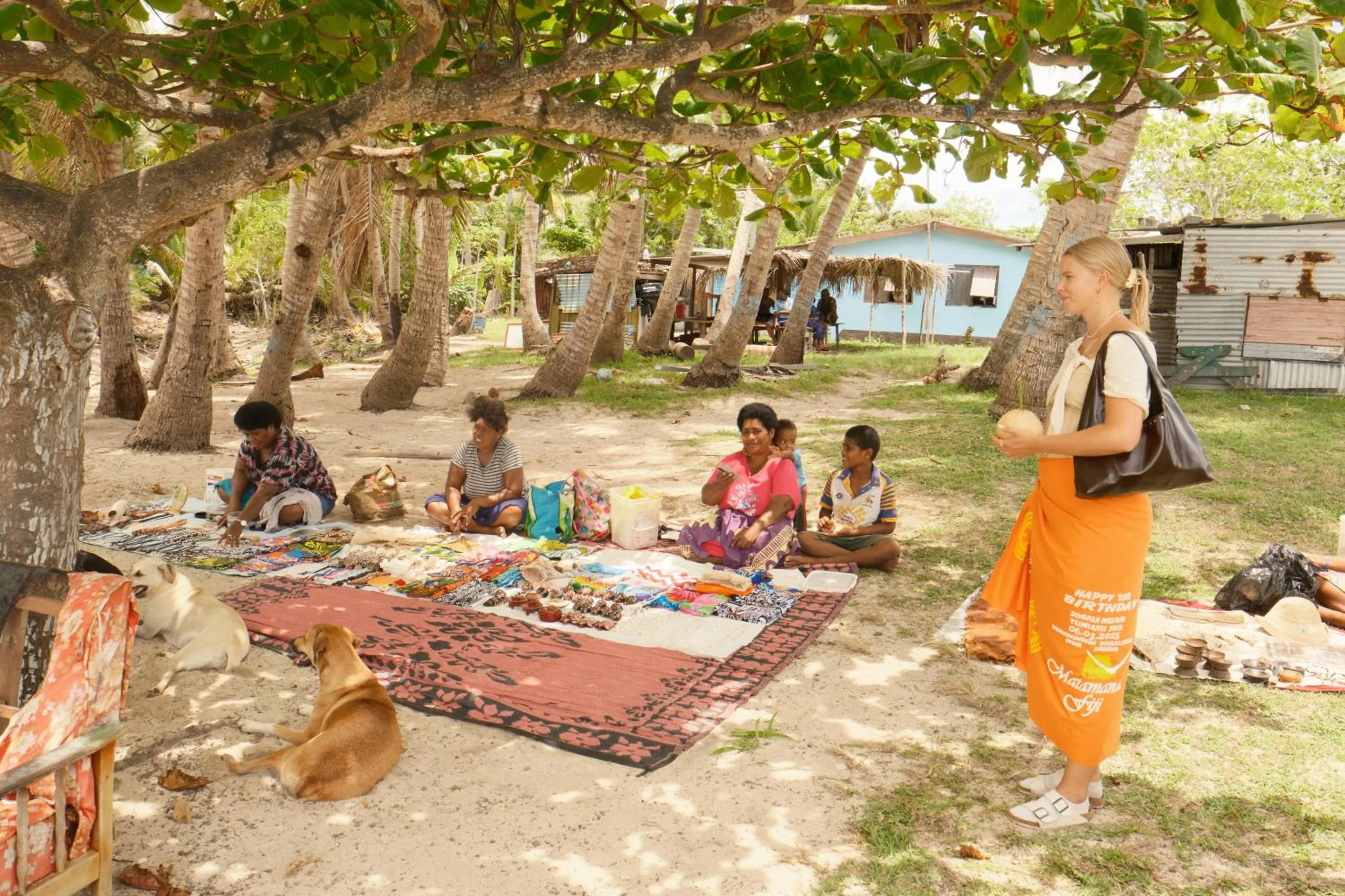 Day in Navutu Stars Resort