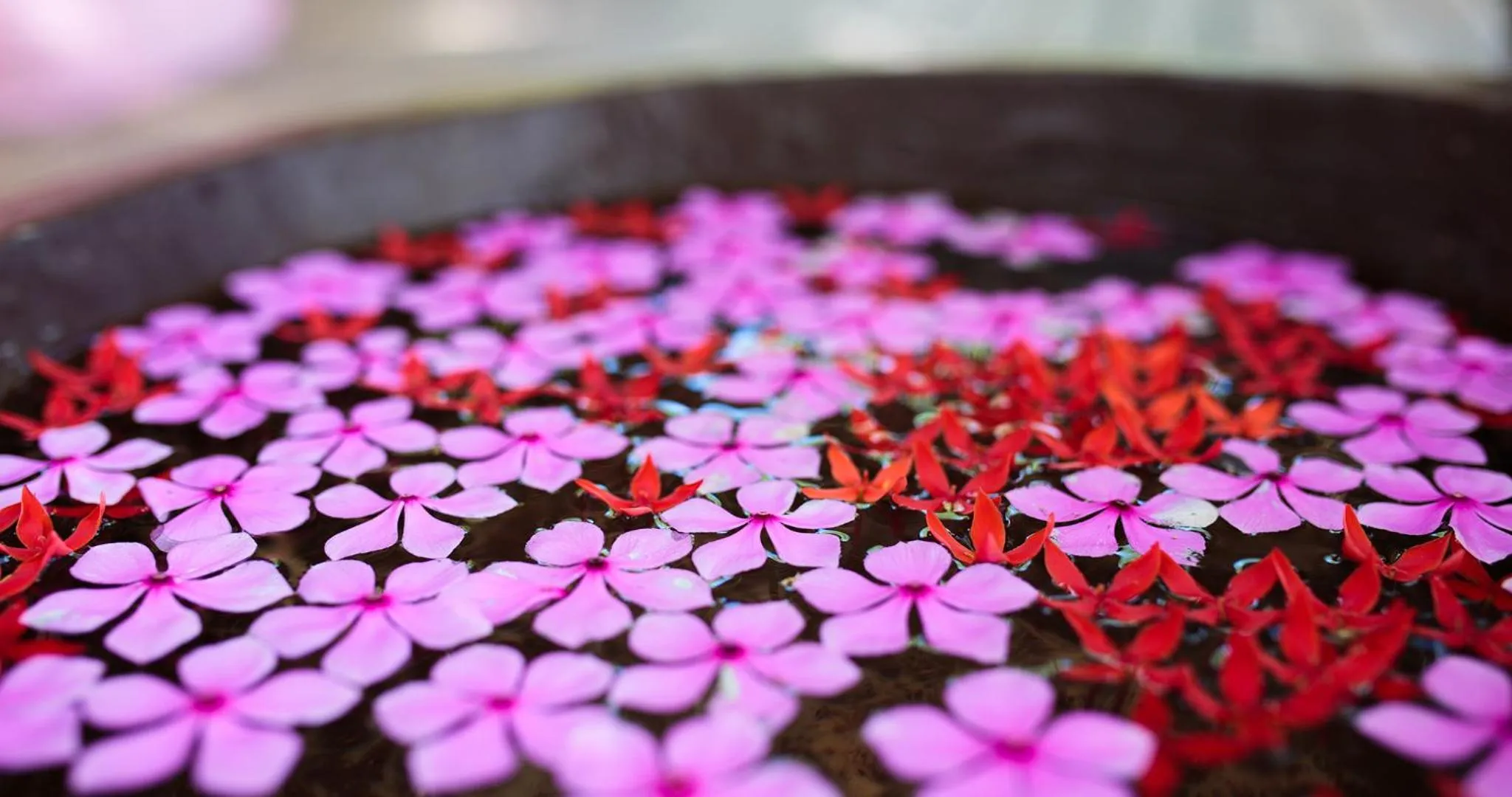 Decorative detail in Navutu Stars Resort