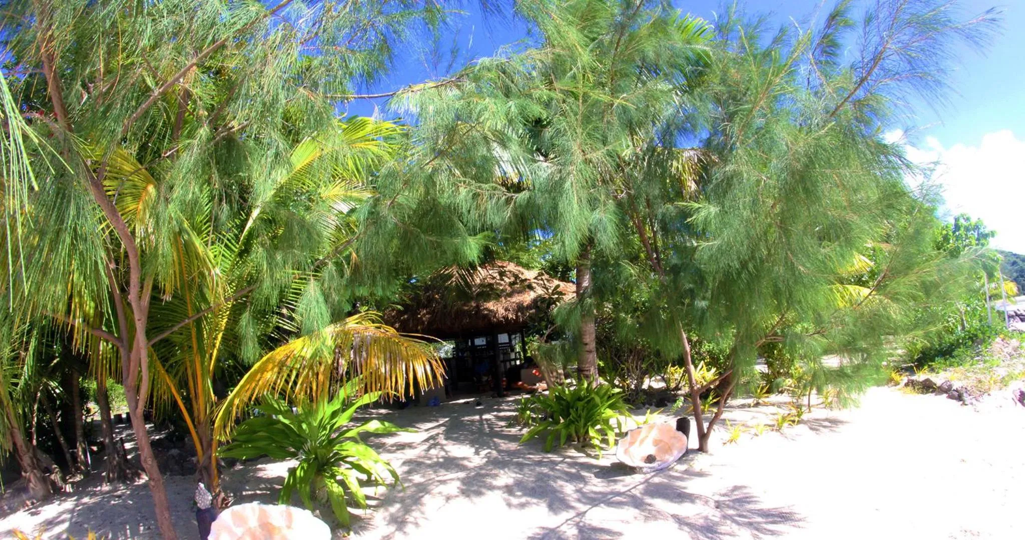 Day in Navutu Stars Resort