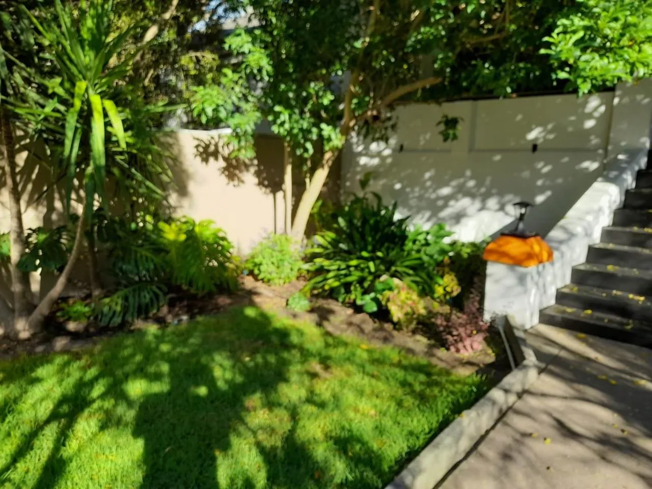 Garden in Zebra Crossing Backpacker