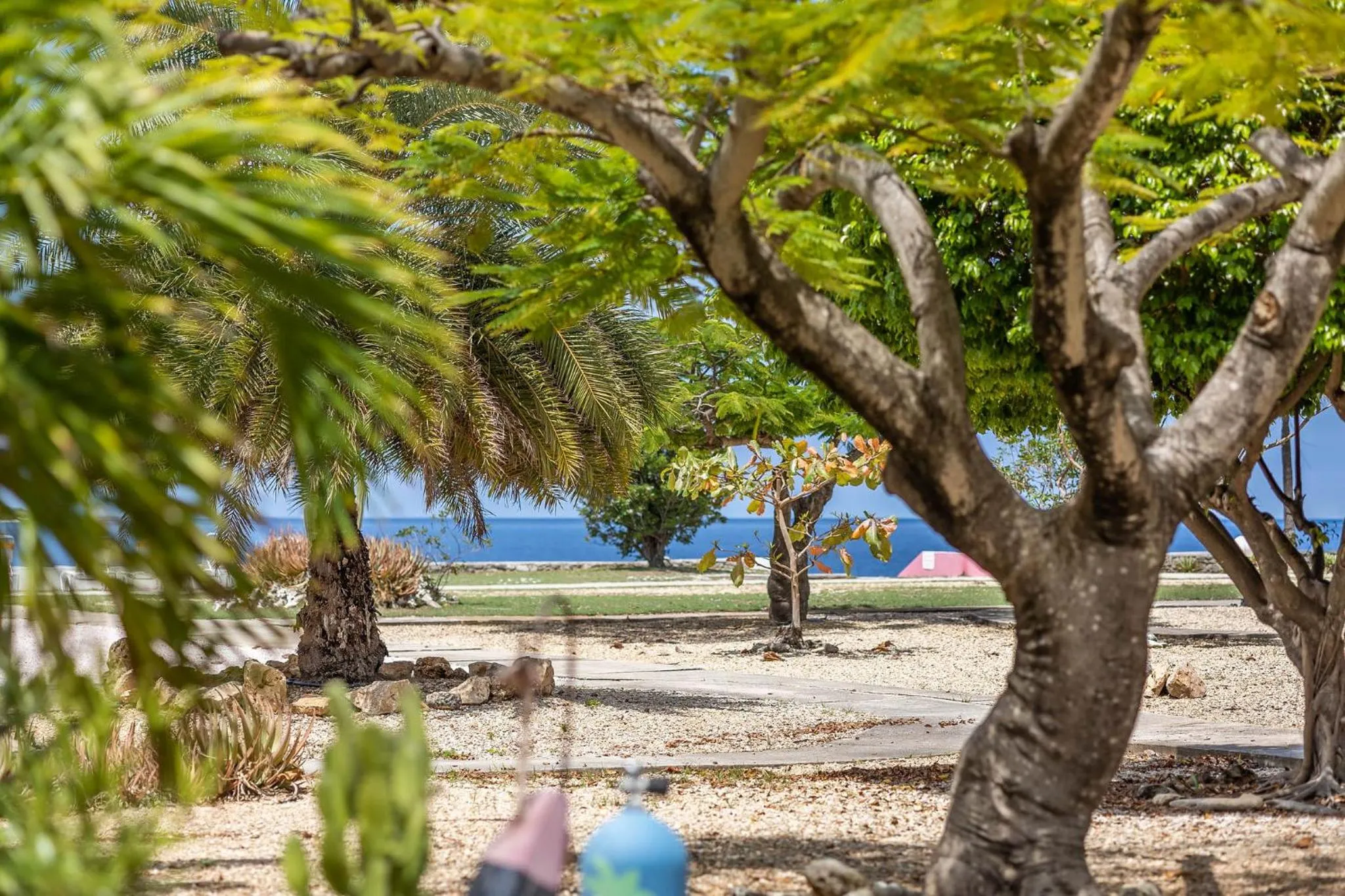 Natural landscape in Sand Dollar Bonaire