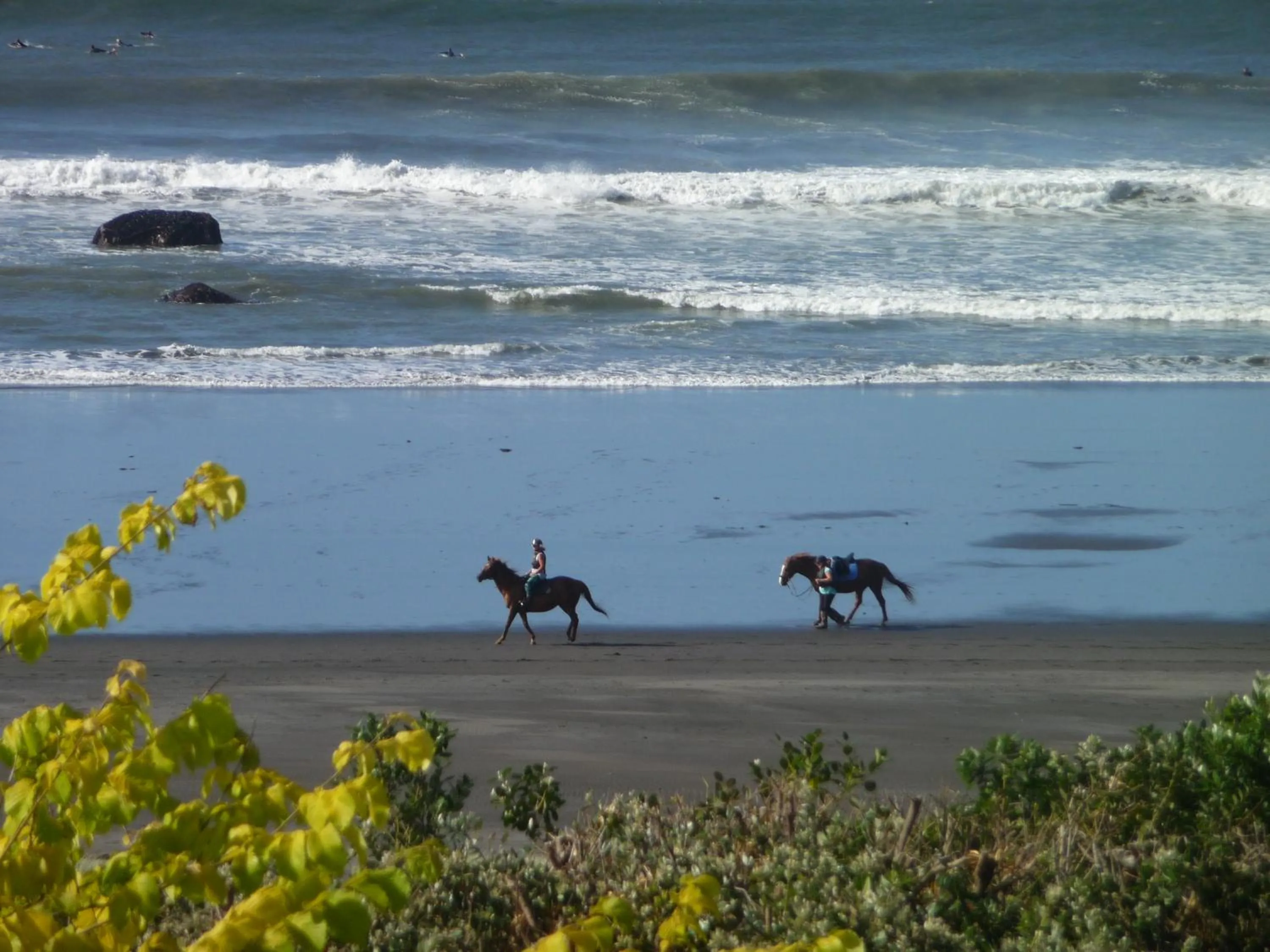 Beach in 49 on Jans Beach Break