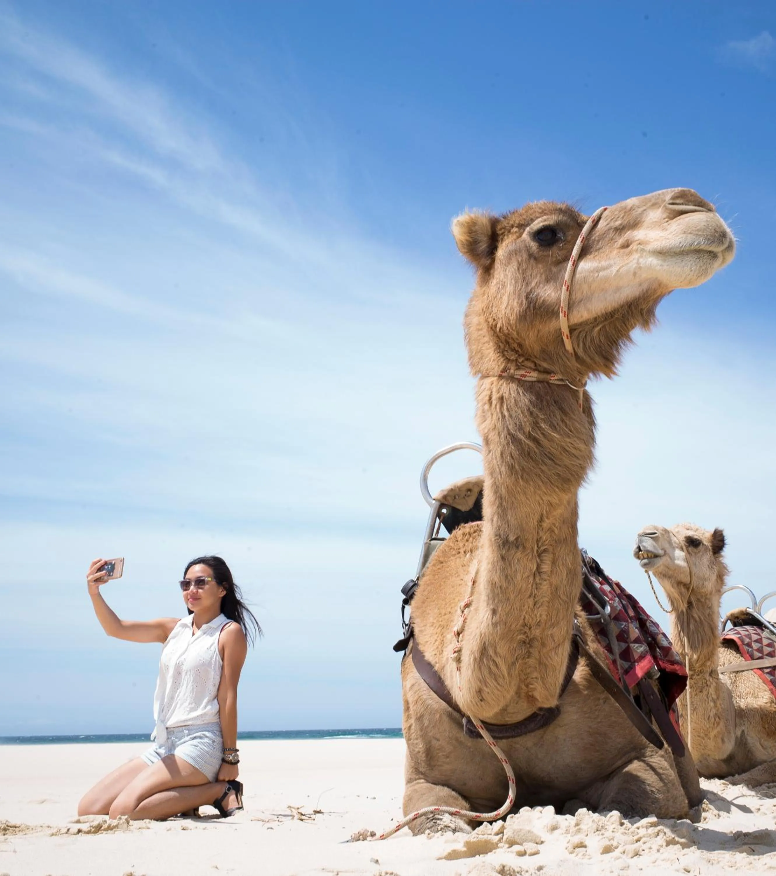 Nearby landmark in Ozzie Pozzie Backpackers