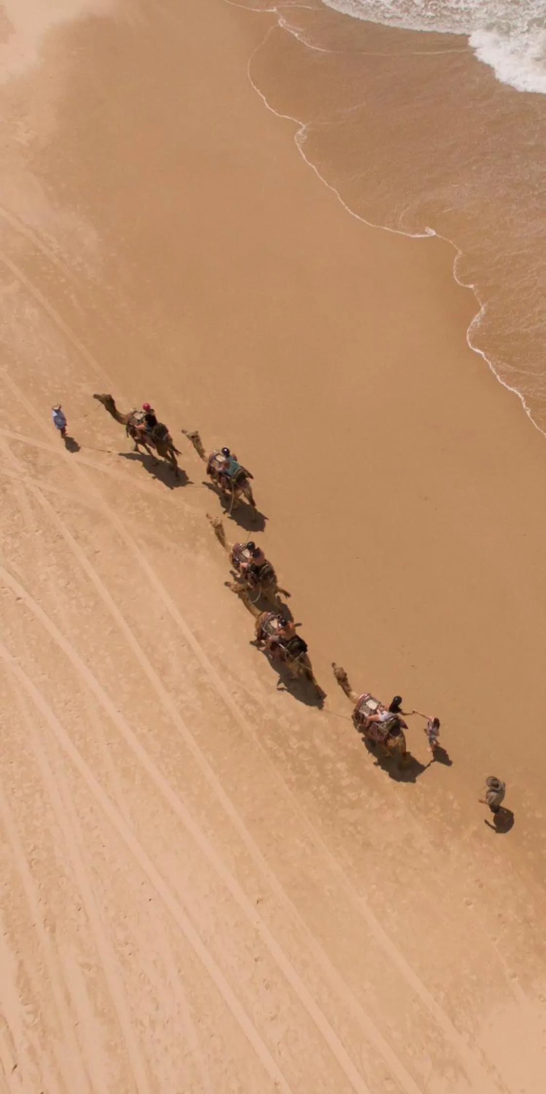 Natural landscape in Ozzie Pozzie Backpackers