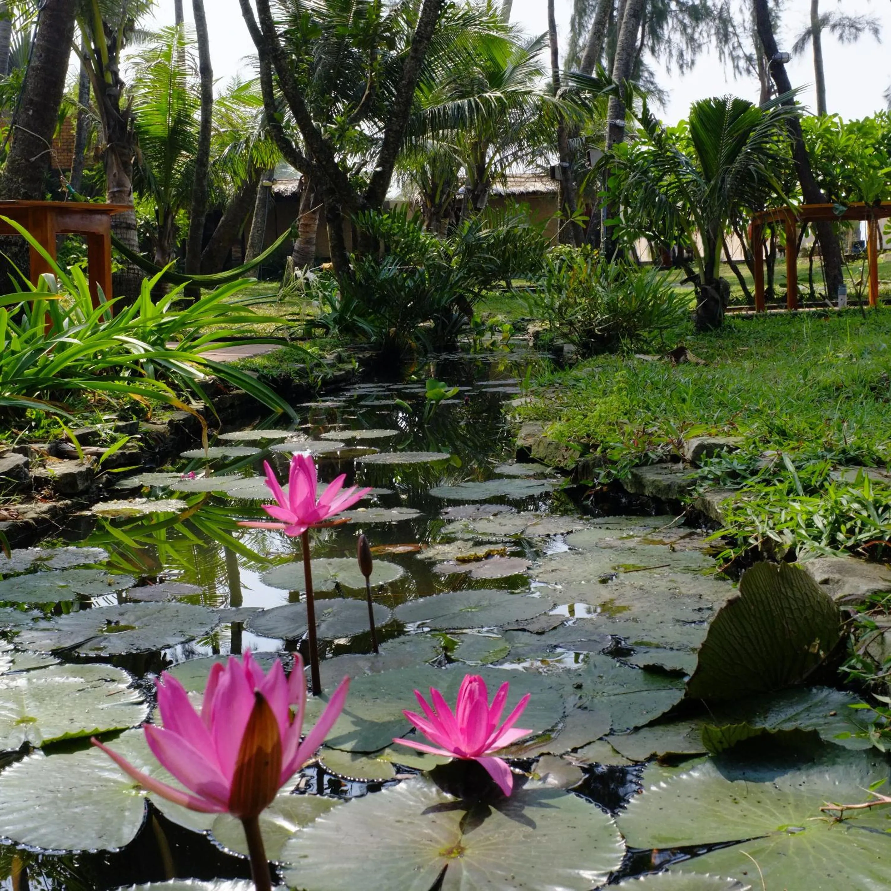 Garden in Cassia Cottage Resort and Spa