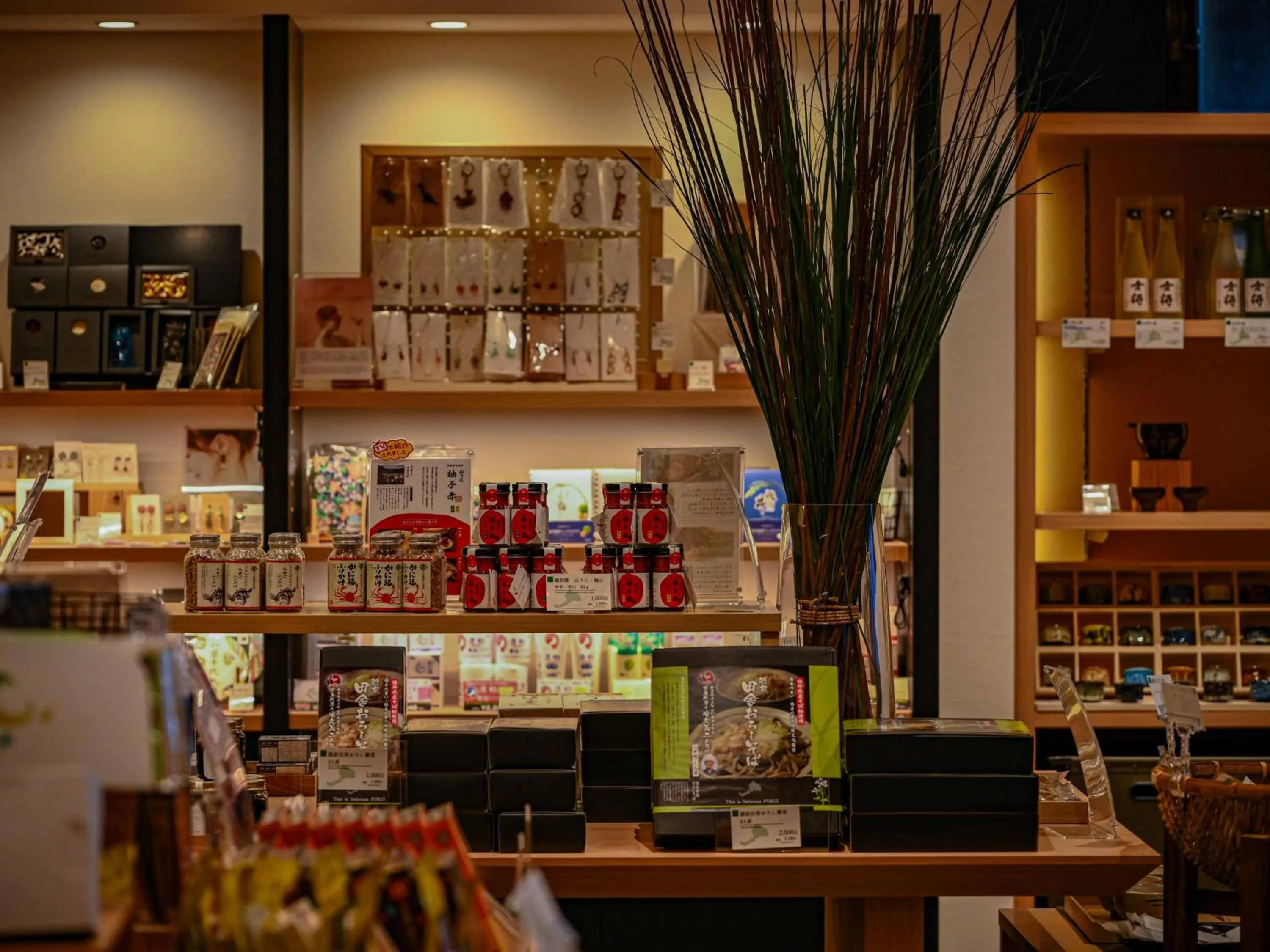 Shopping Area in Hokuriku Fukui Awara Onsen Mimatsu