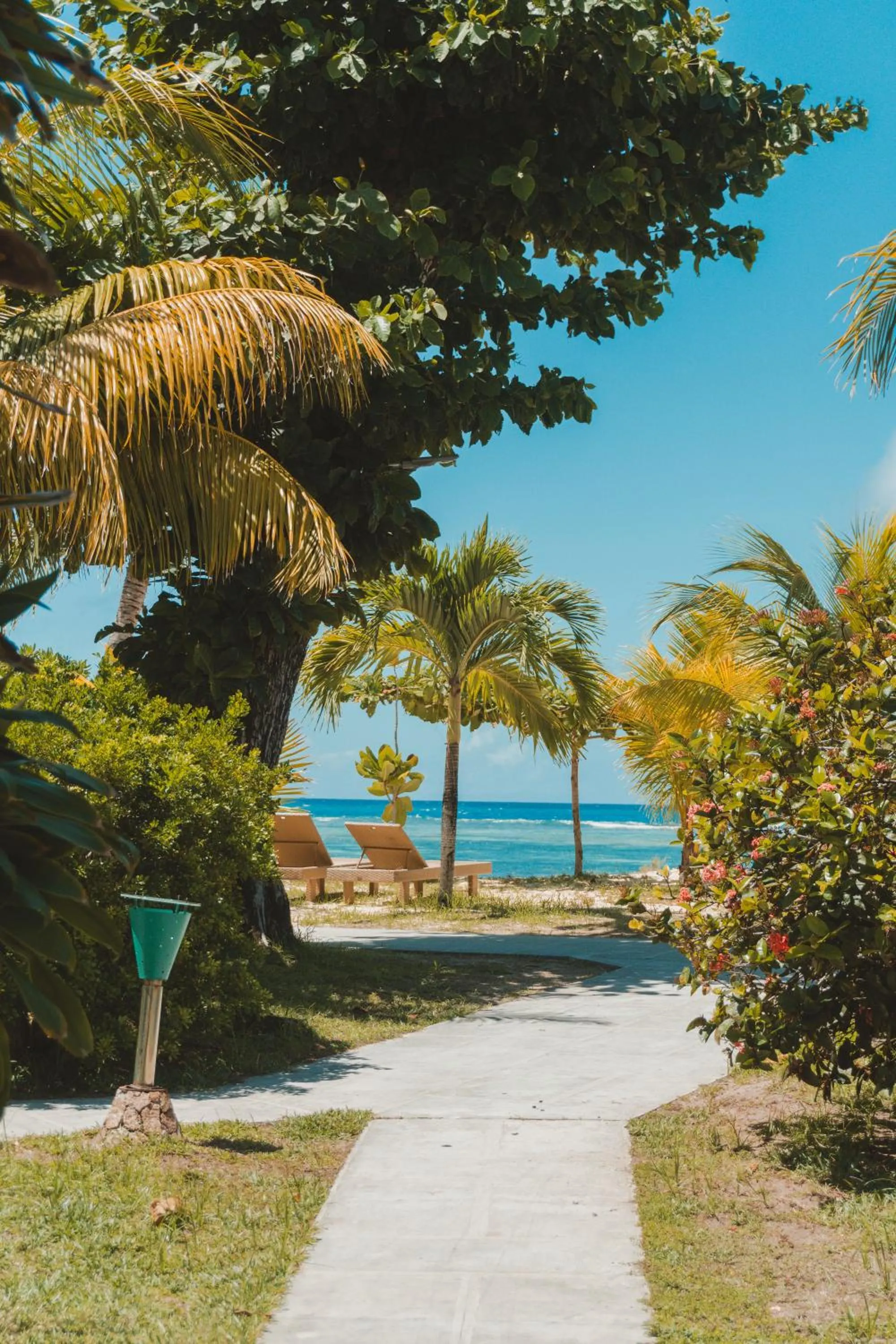 Natural landscape in La Digue Island Lodge