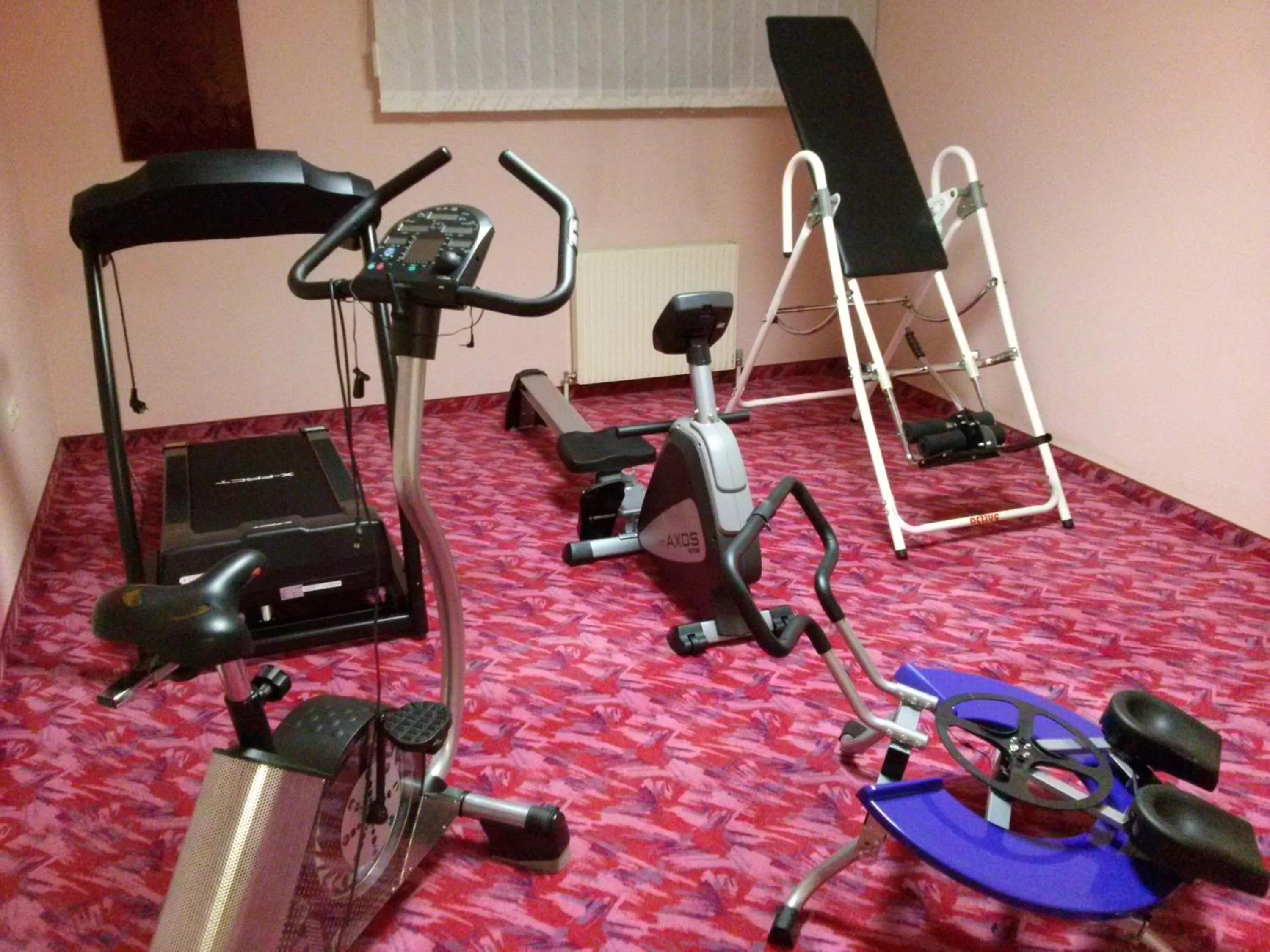 Fitness centre/facilities in Hotel Garni Erler