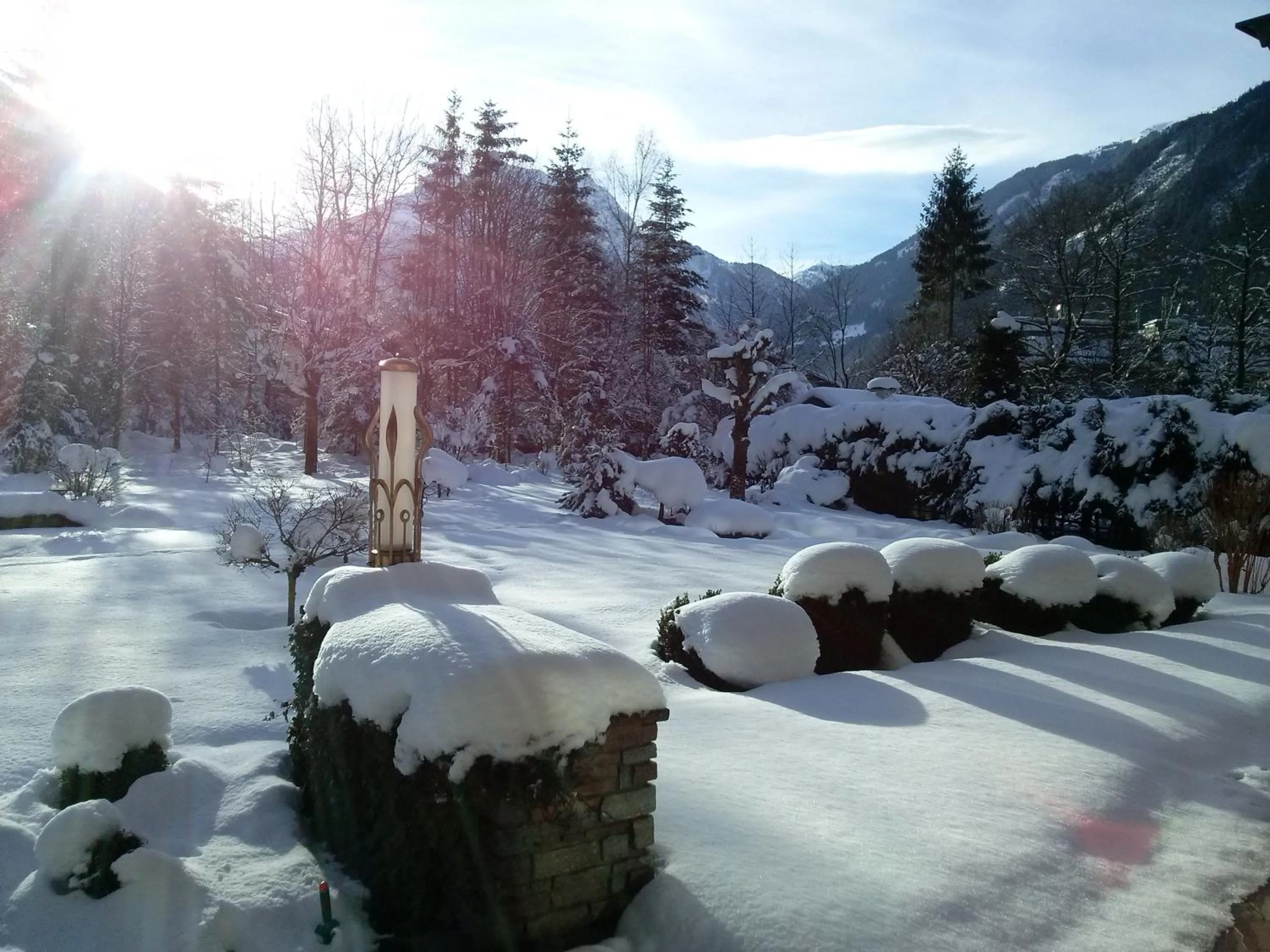 Garden in Hotel Garni Erler