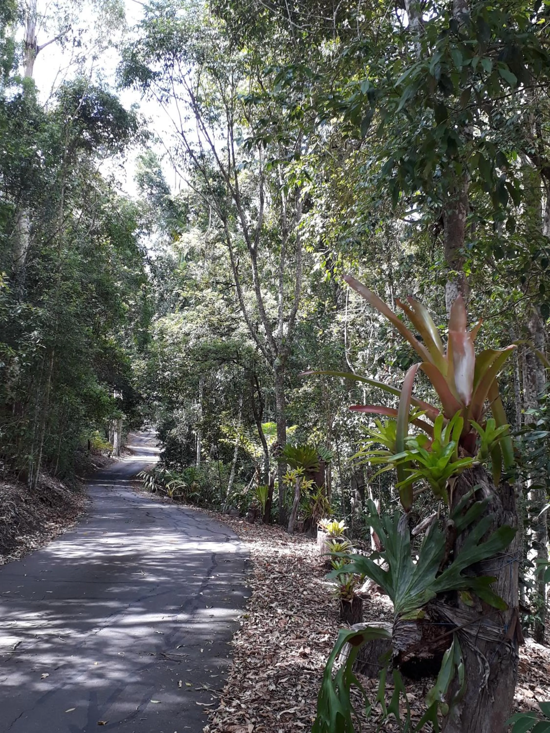 Natural landscape in Stay @ The Cube
