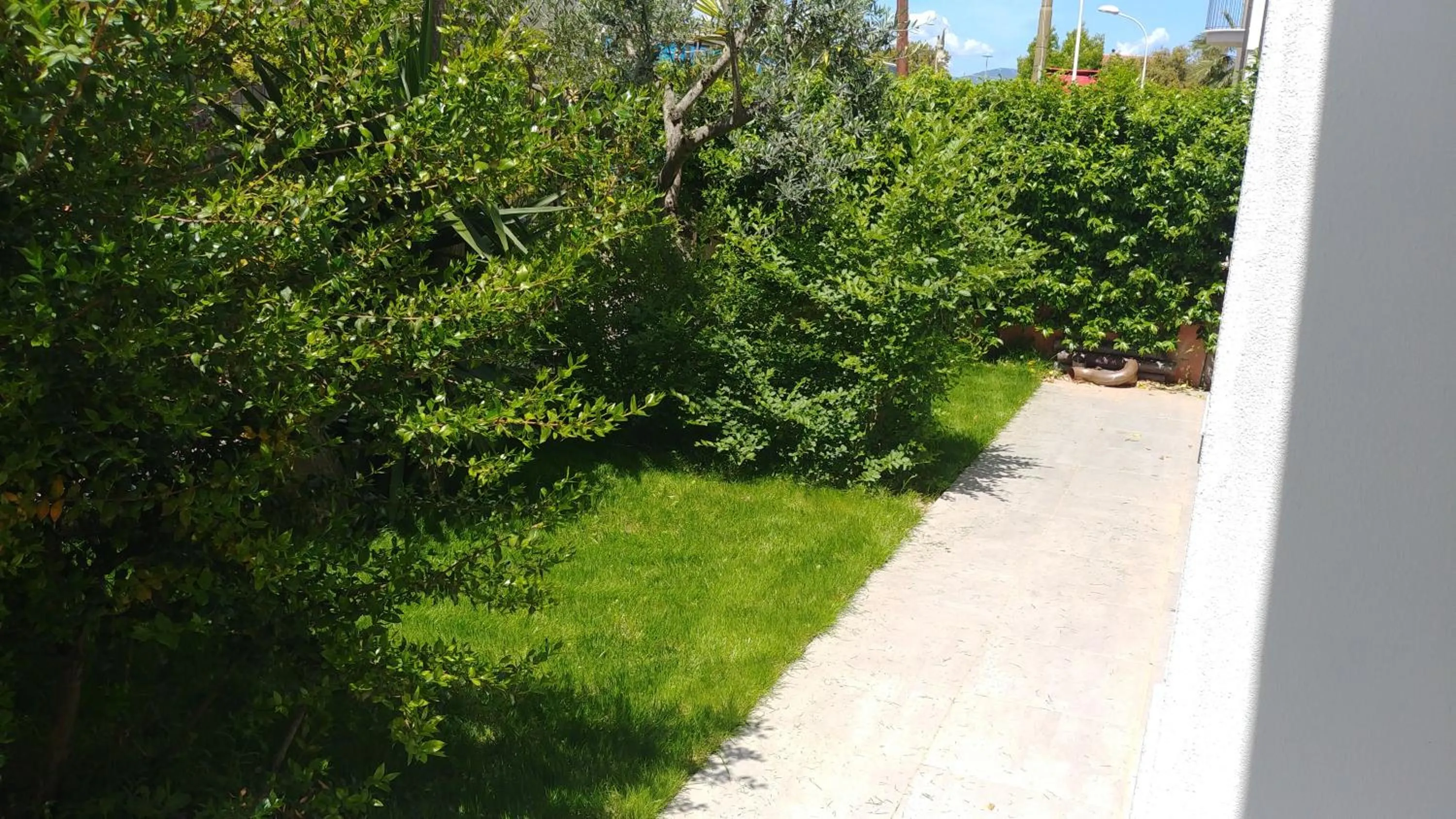 Garden in Alexander B&B