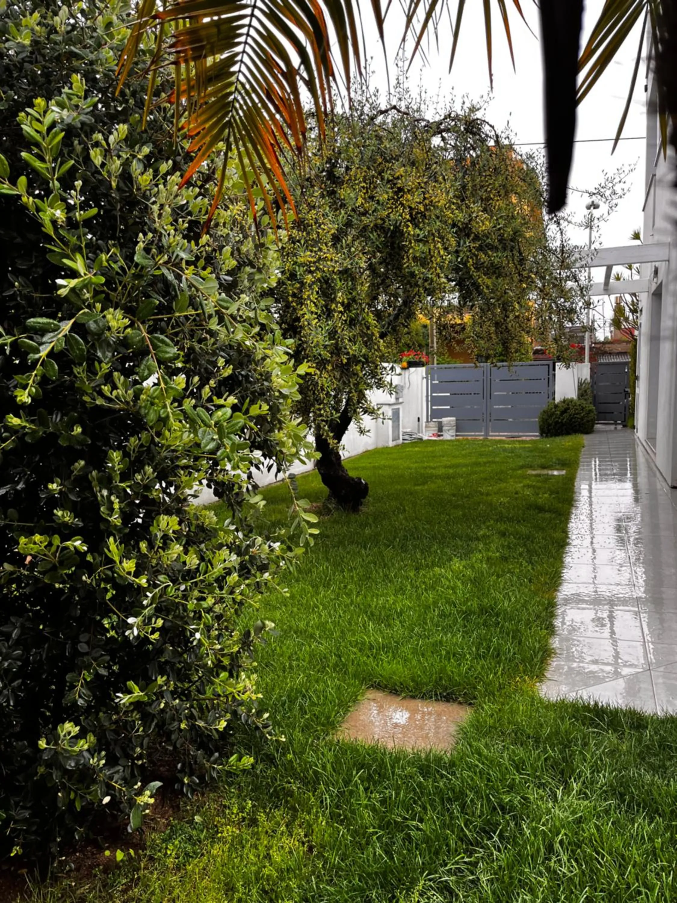 Garden in Alexander B&B