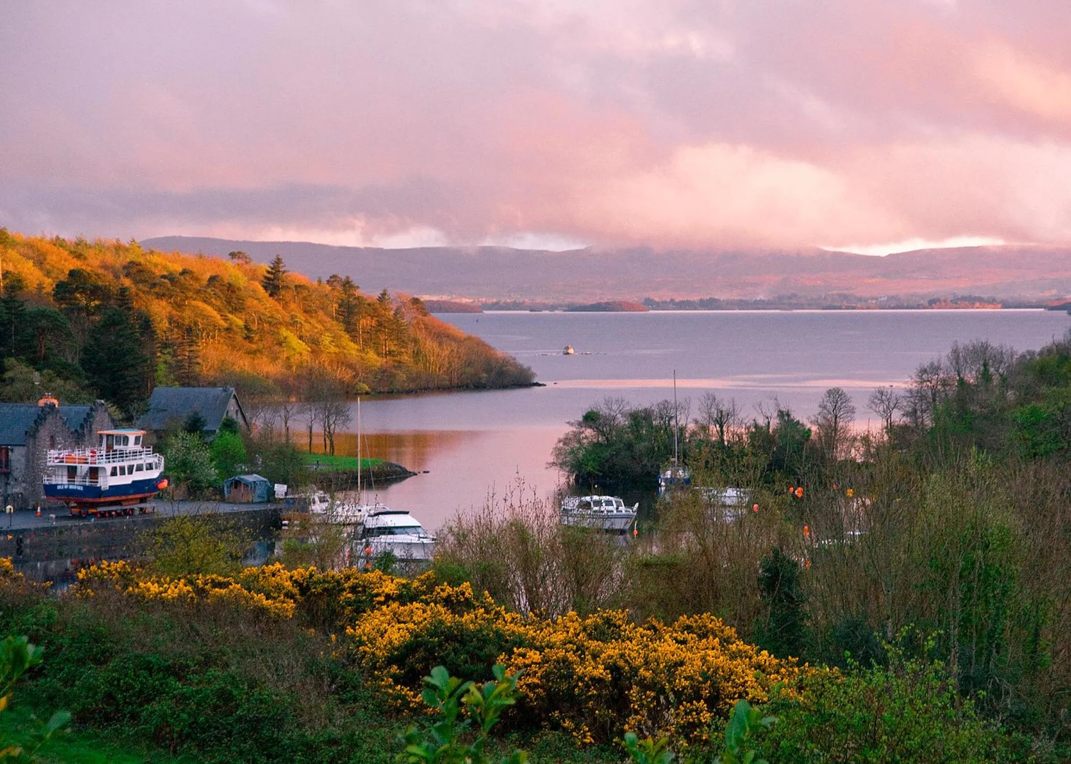 View (from property/room) in The Lodge at Ashford Castle