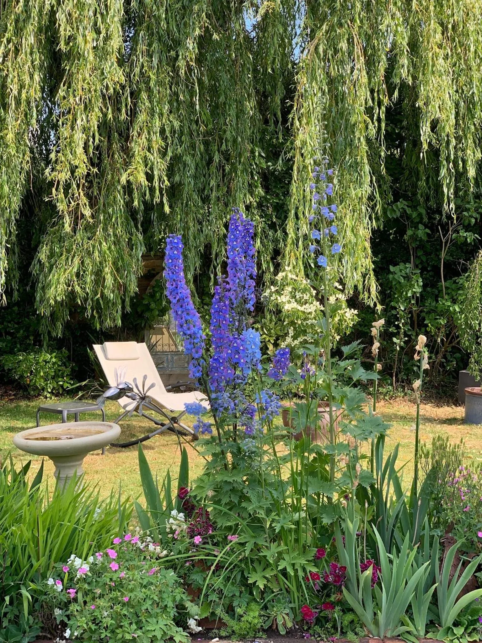 Garden view in Corner House Luxury BnB