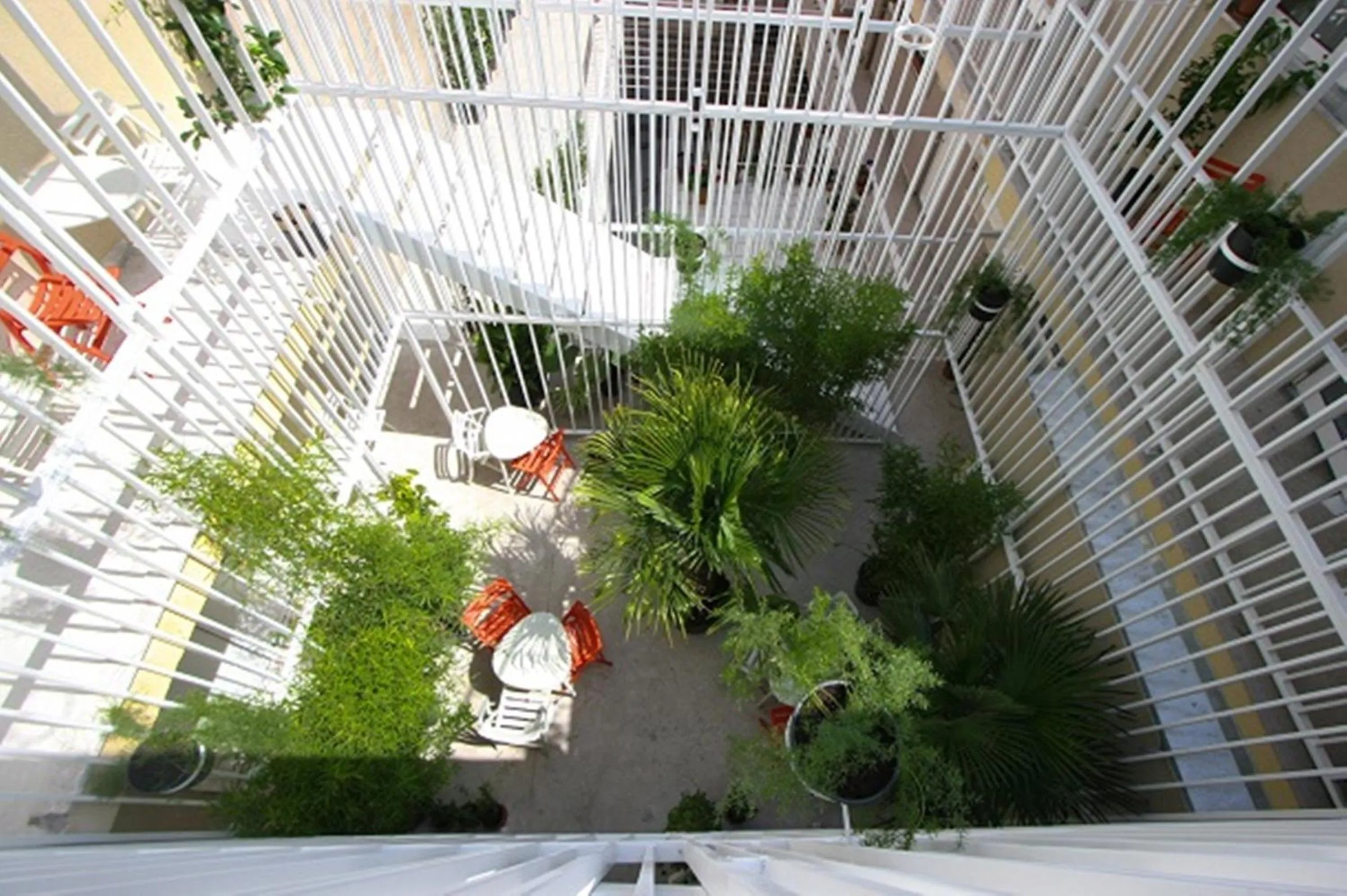 Garden in Boutique Hostel Forum