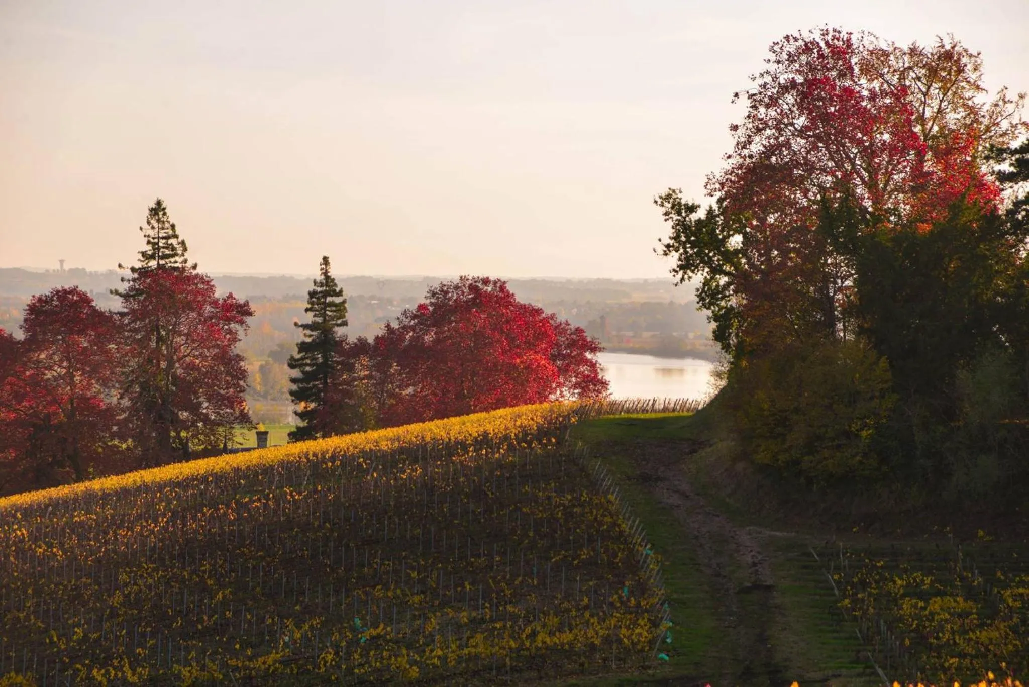 Neighbourhood in La Closerie de Fronsac