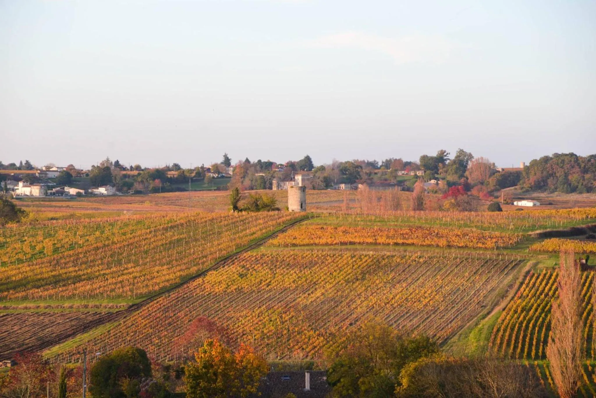 Neighbourhood in La Closerie de Fronsac