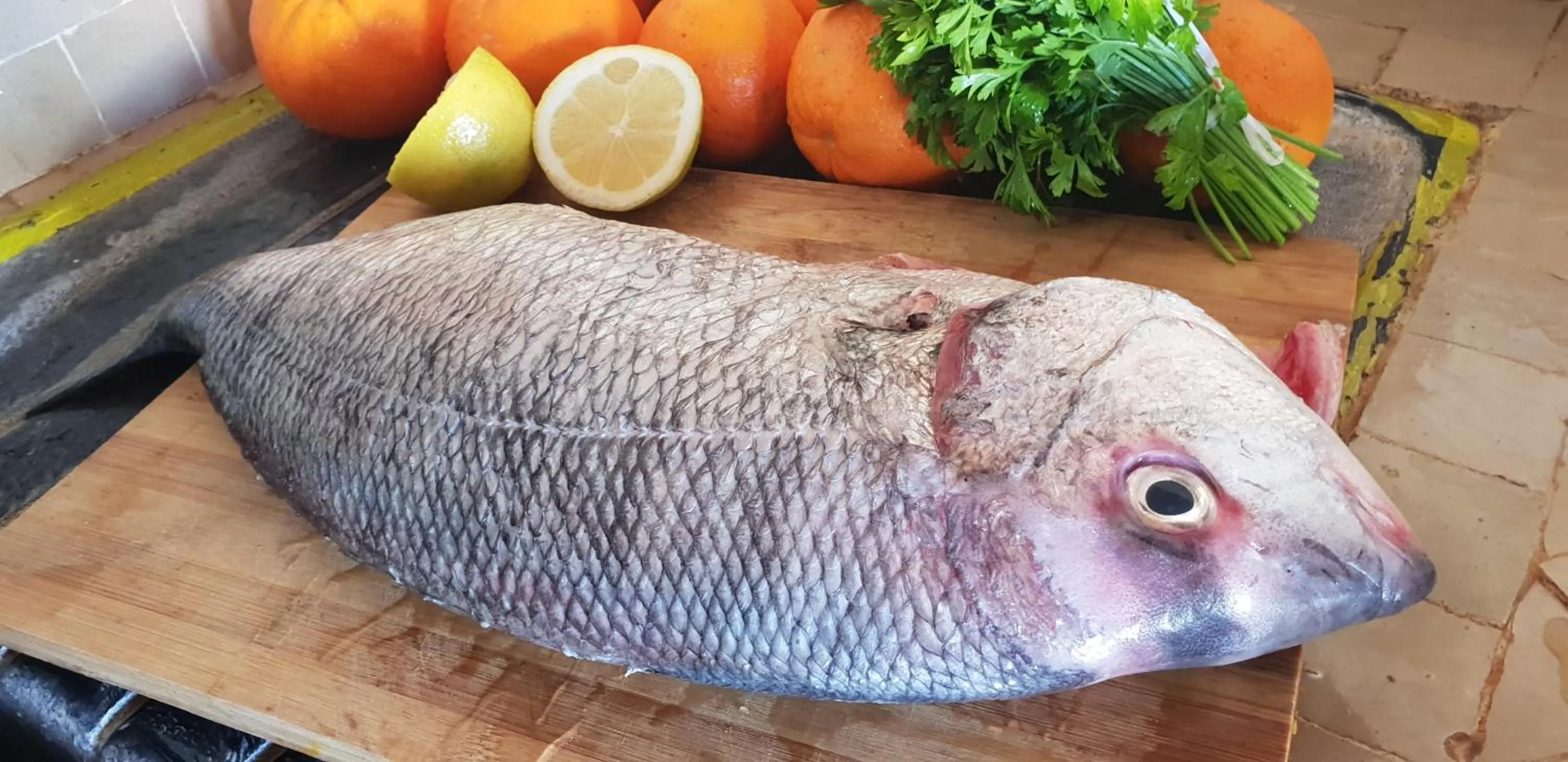 Dinner in Sultana larache