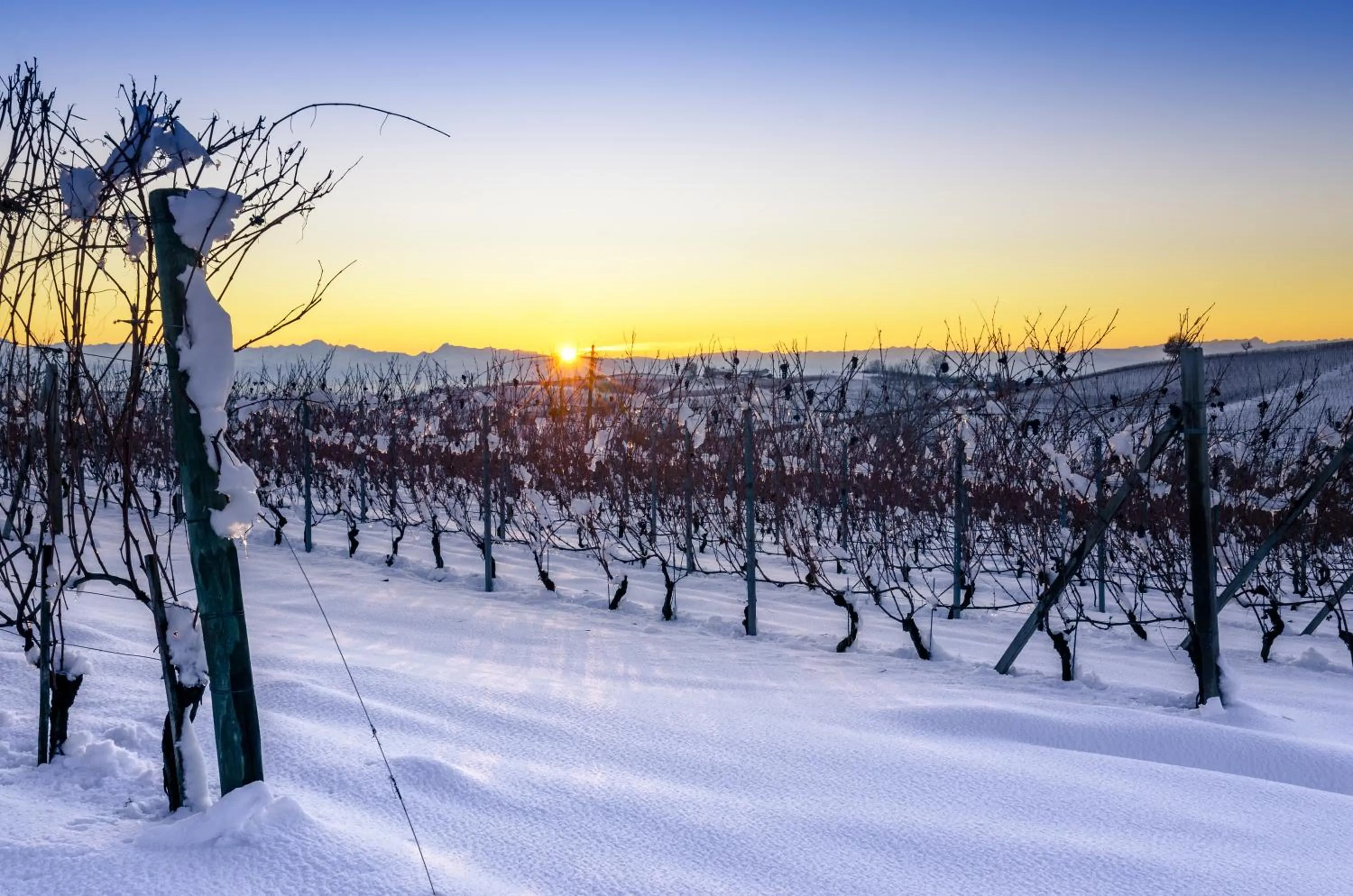 Winter in Cà 'd Langa B&B