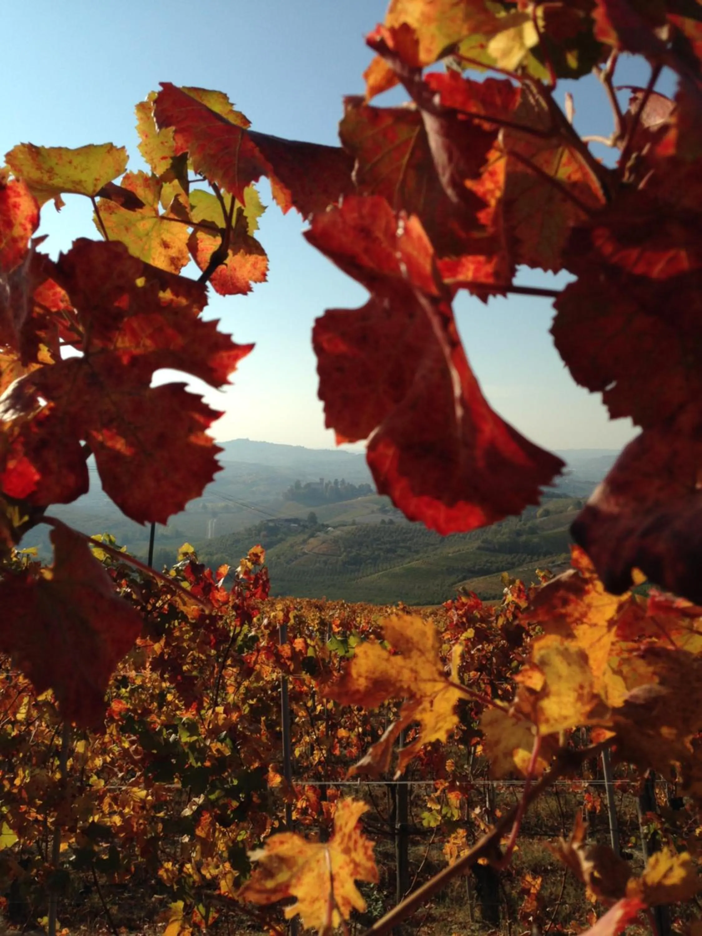 Autumn in Cà 'd Langa B&B