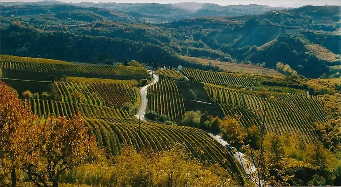 Autumn in Cà 'd Langa B&B