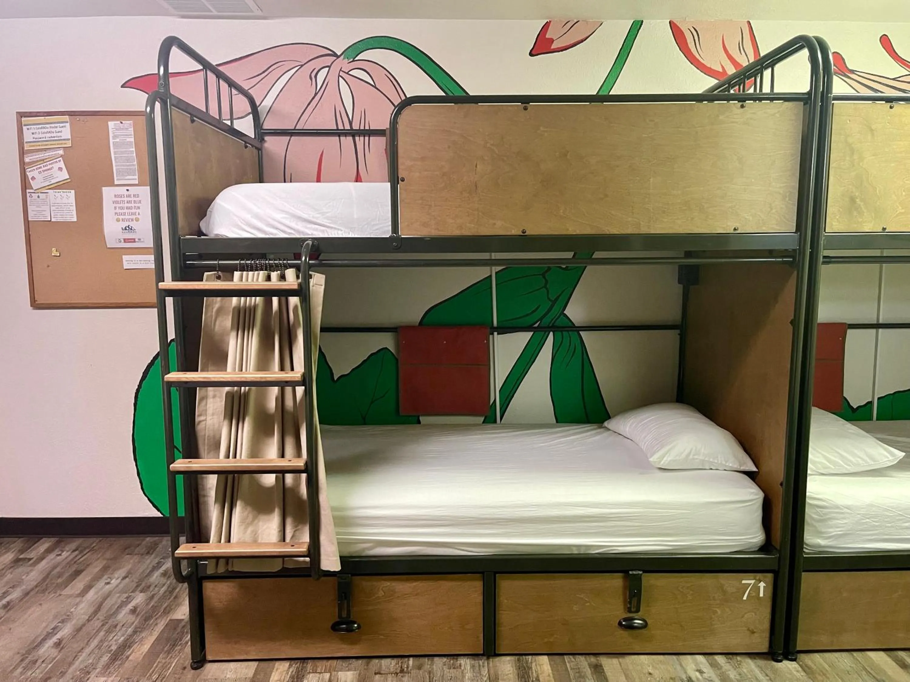 bunk bed, Bed in RAD Hostel
