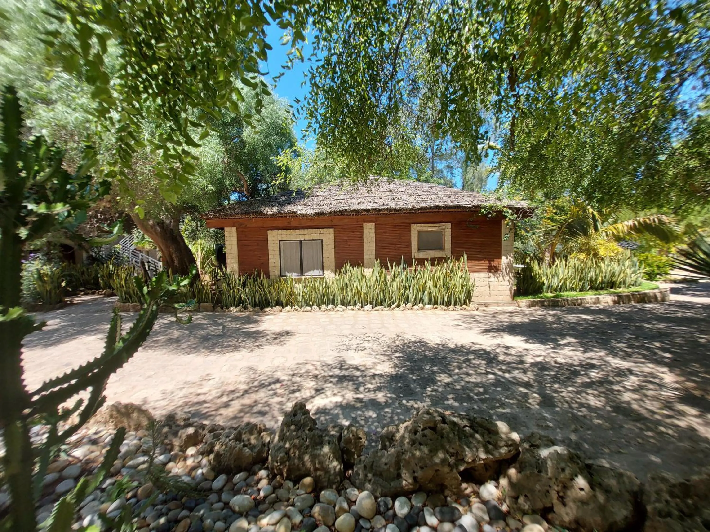 Double Room with Sea View - single occupancy in La Bella Donna