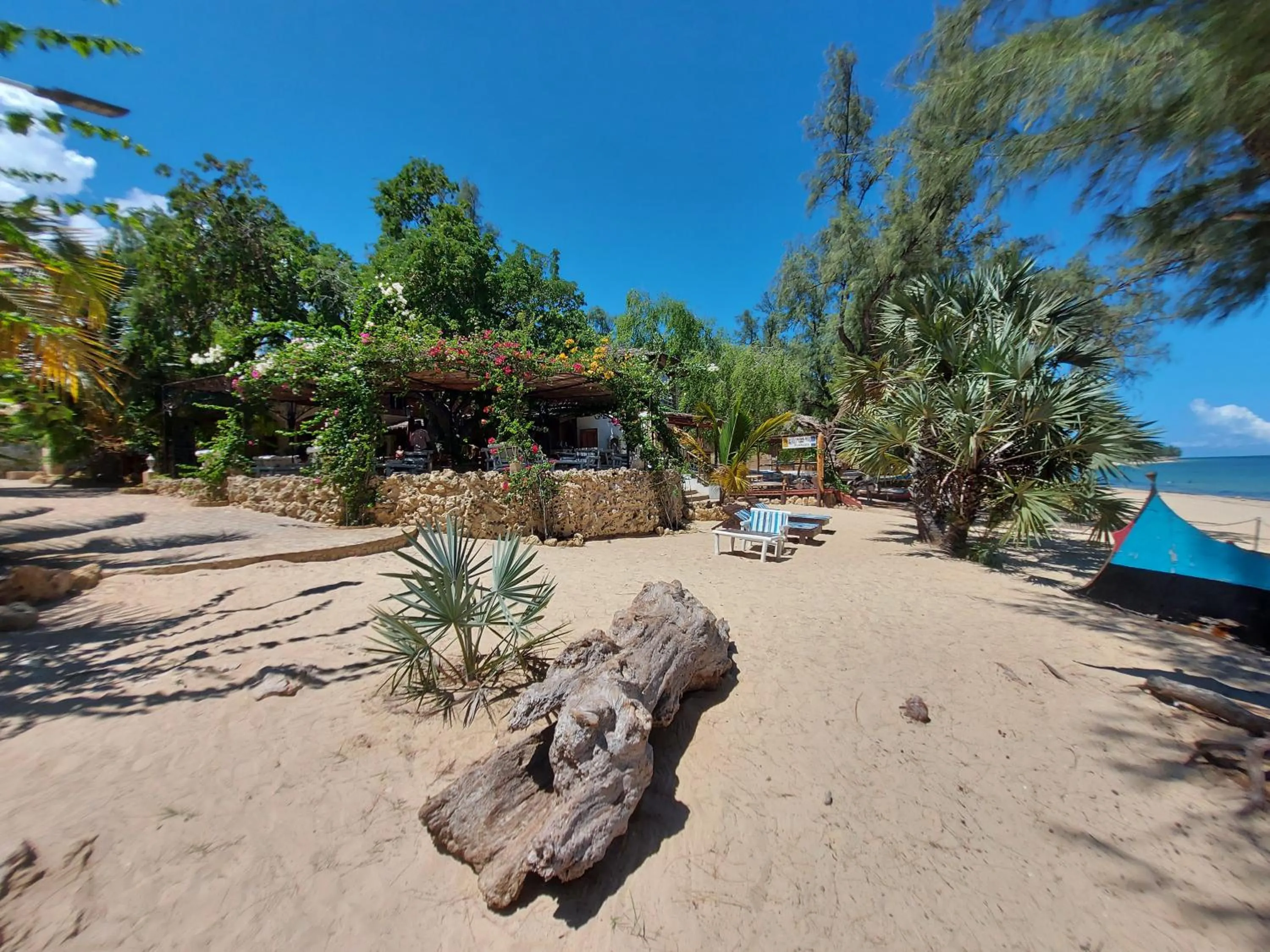 Double Room with Balcony and Sea View - single occupancy in La Bella Donna