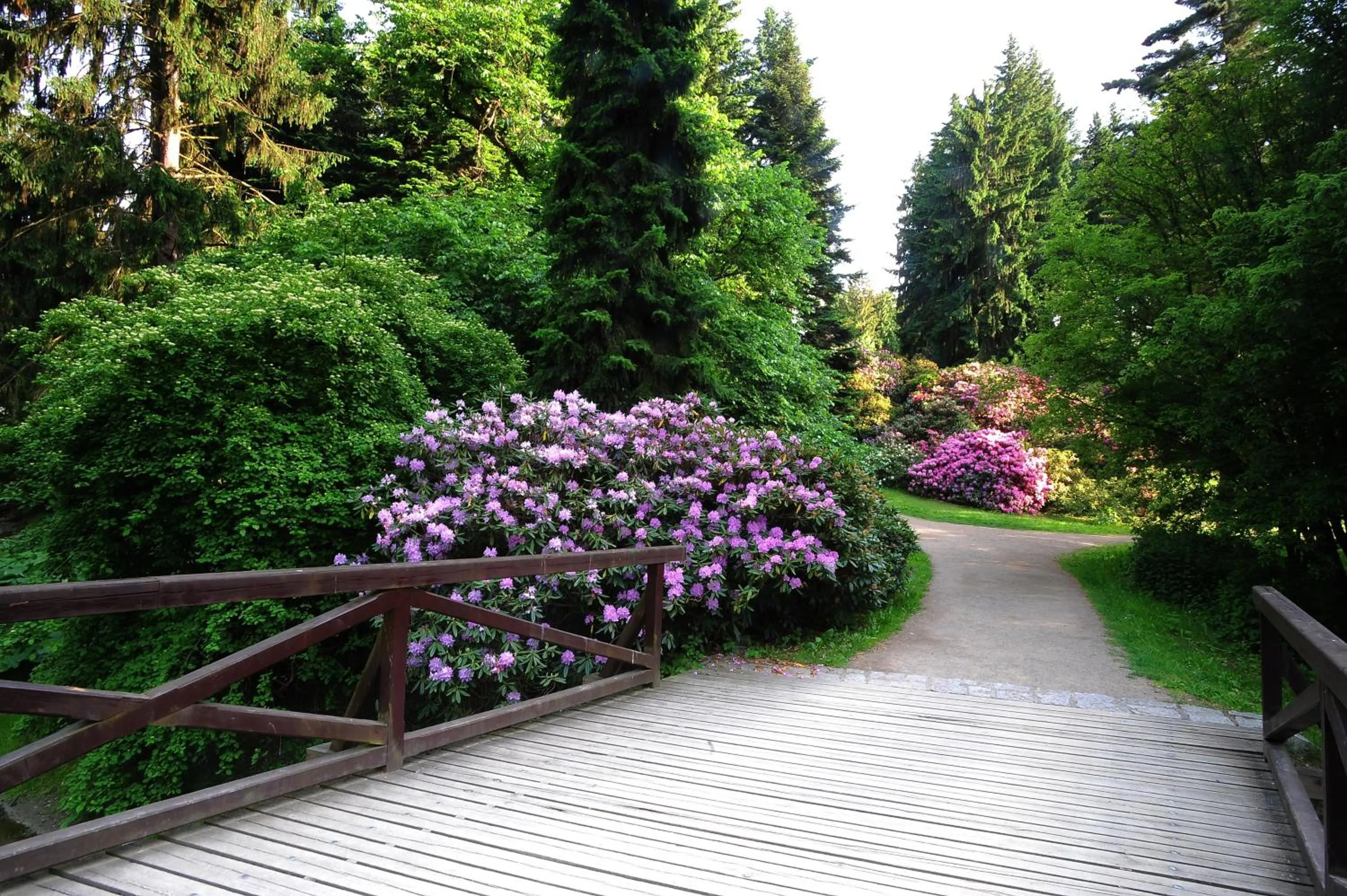 Nearby landmark in Park Hotel Pruhonice