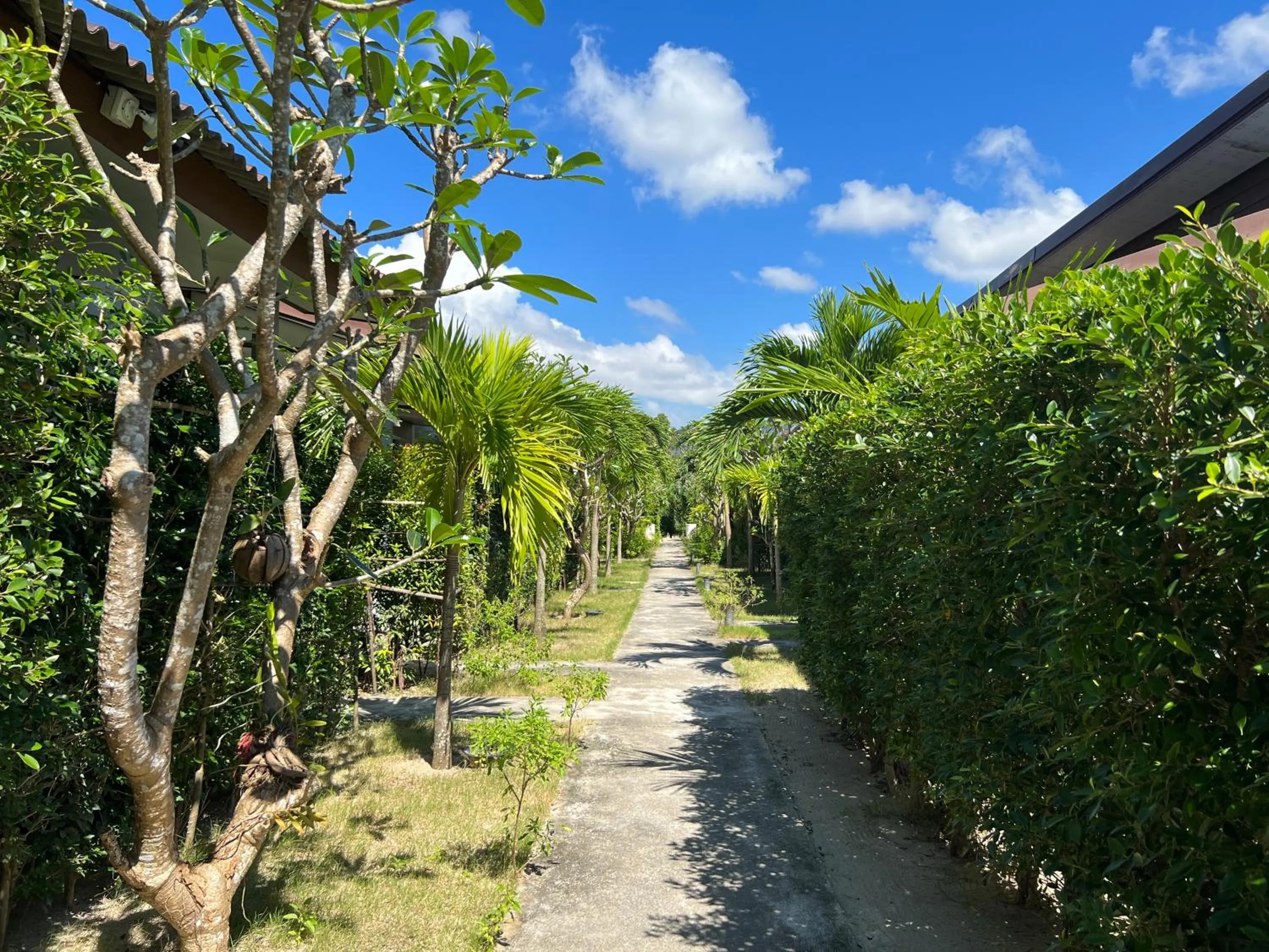 Natural landscape in CheeVa Beach Resort