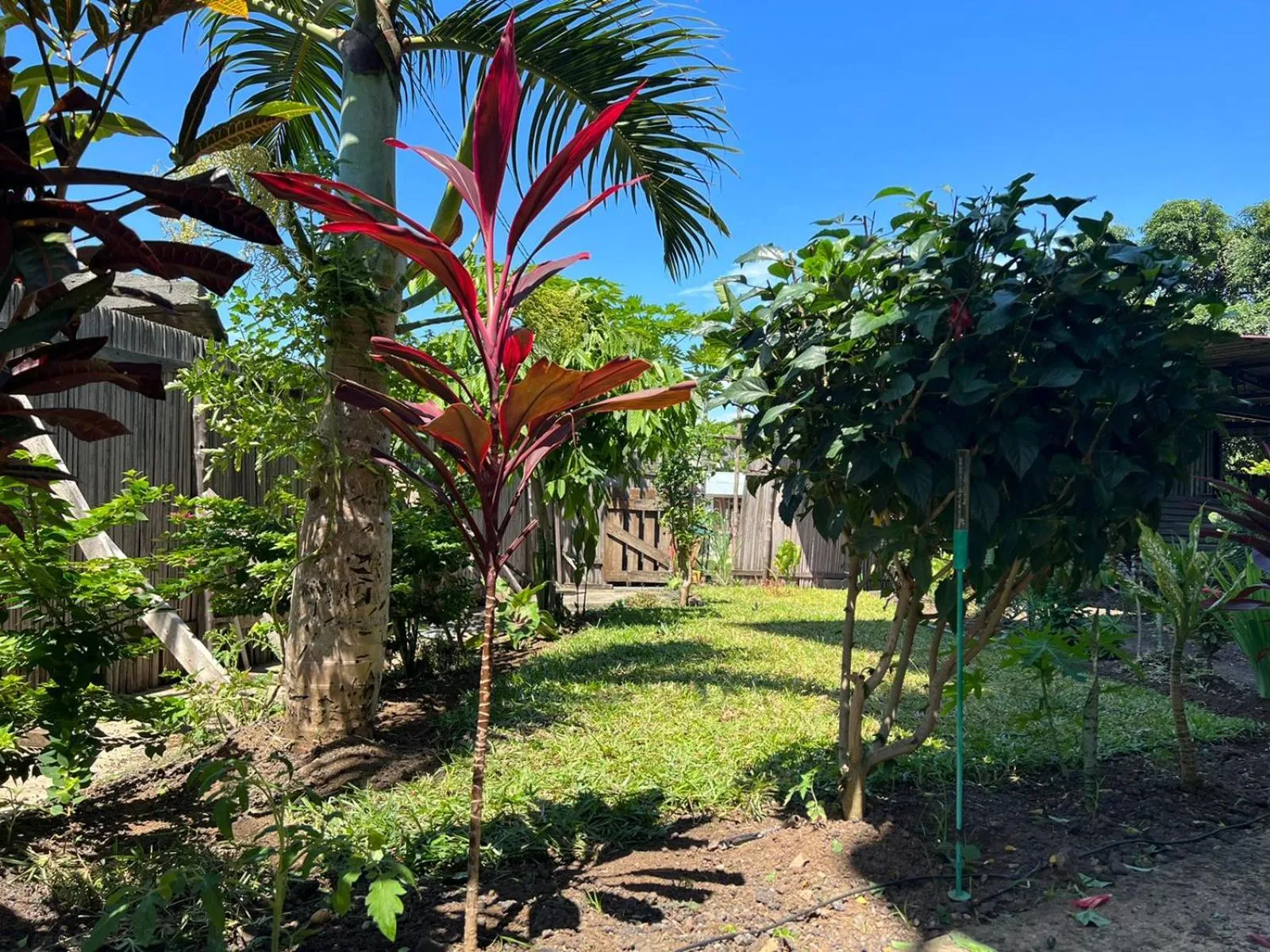 Day in Hôtel Ambatoloaka