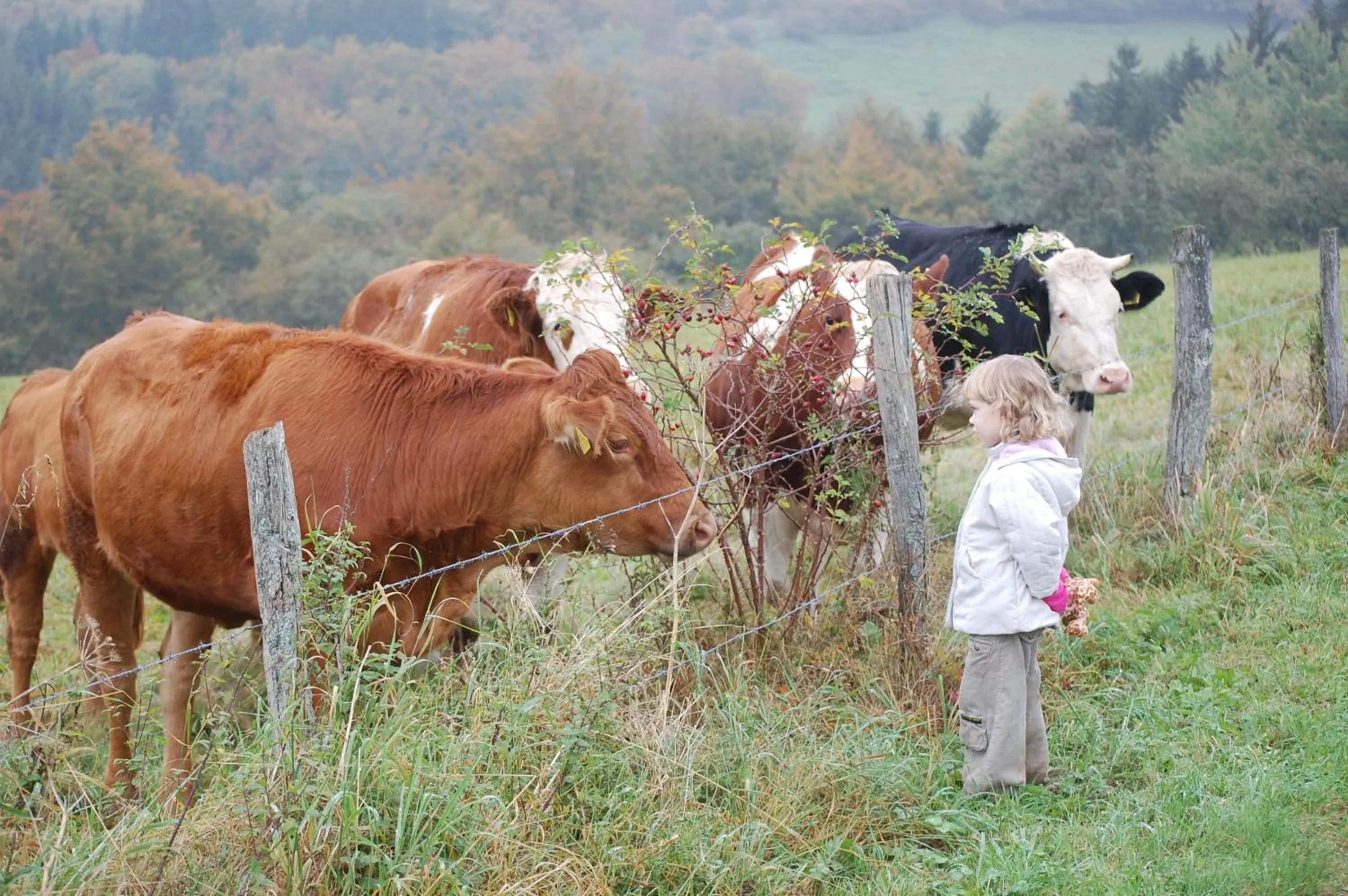 People in Schweizes Ferienhof